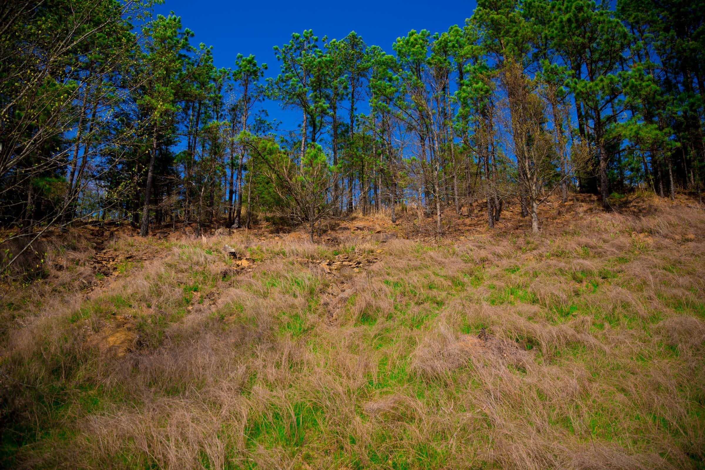 Stone Creek Phase II Tract 232 photo 3