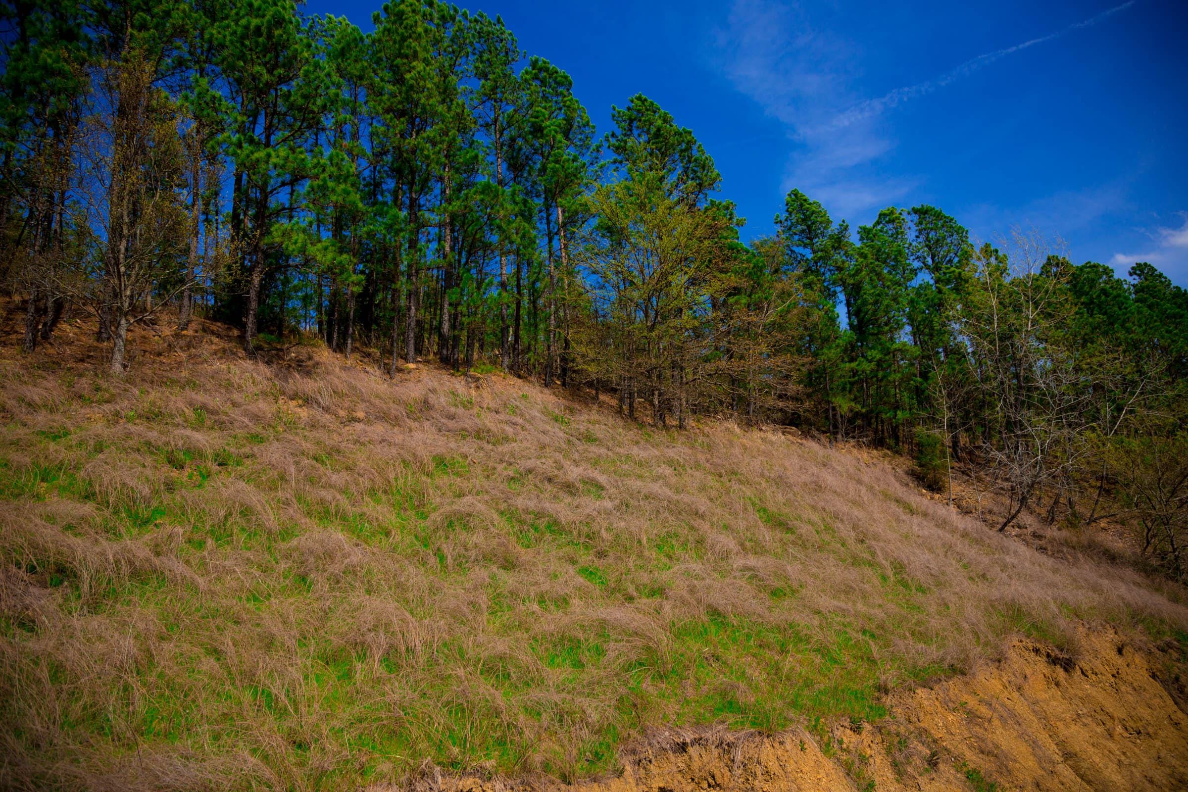 Stone Creek Phase II Tract 232 photo 4
