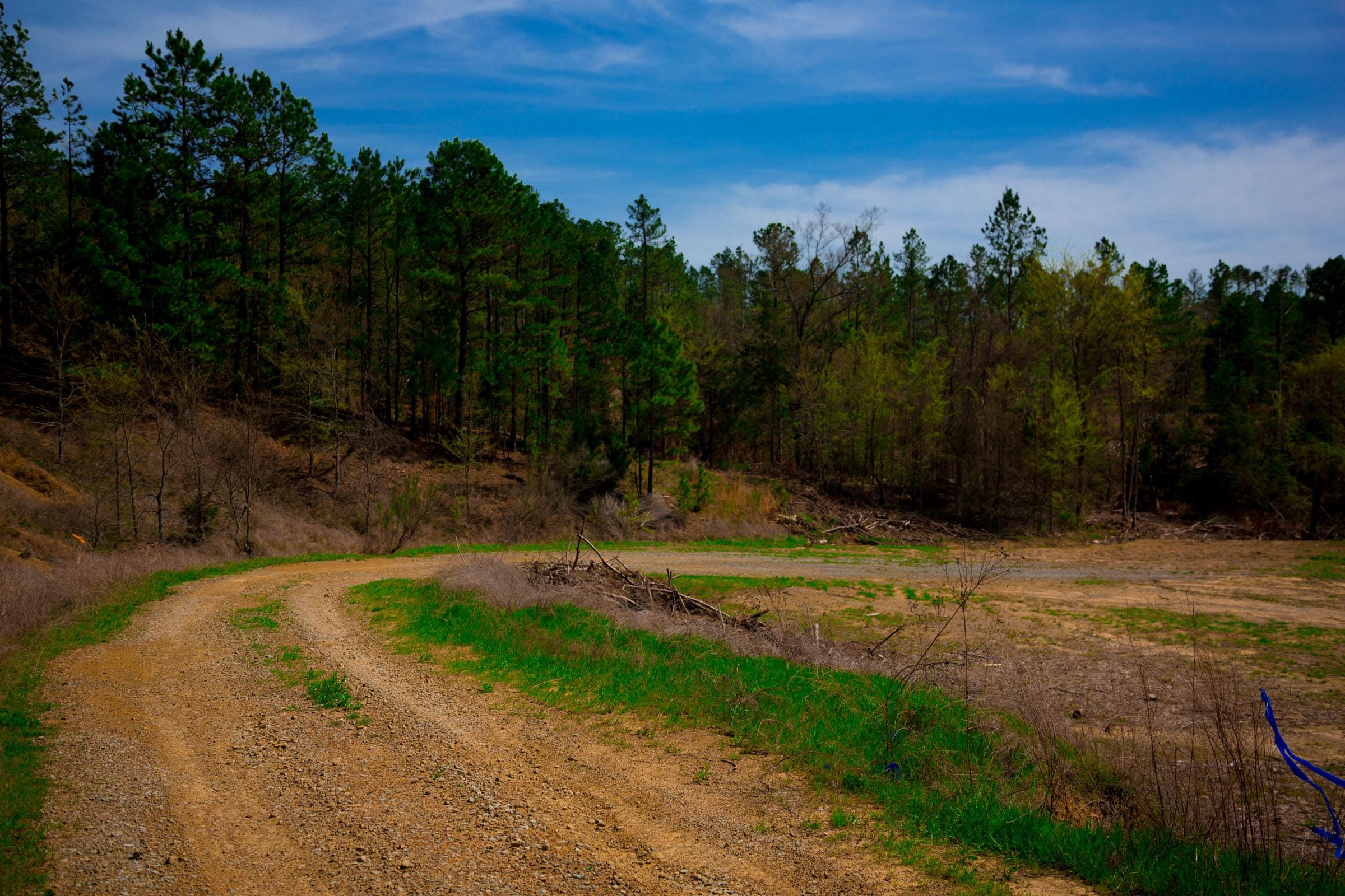 Stone Creek Phase II Tract 232 photo 6