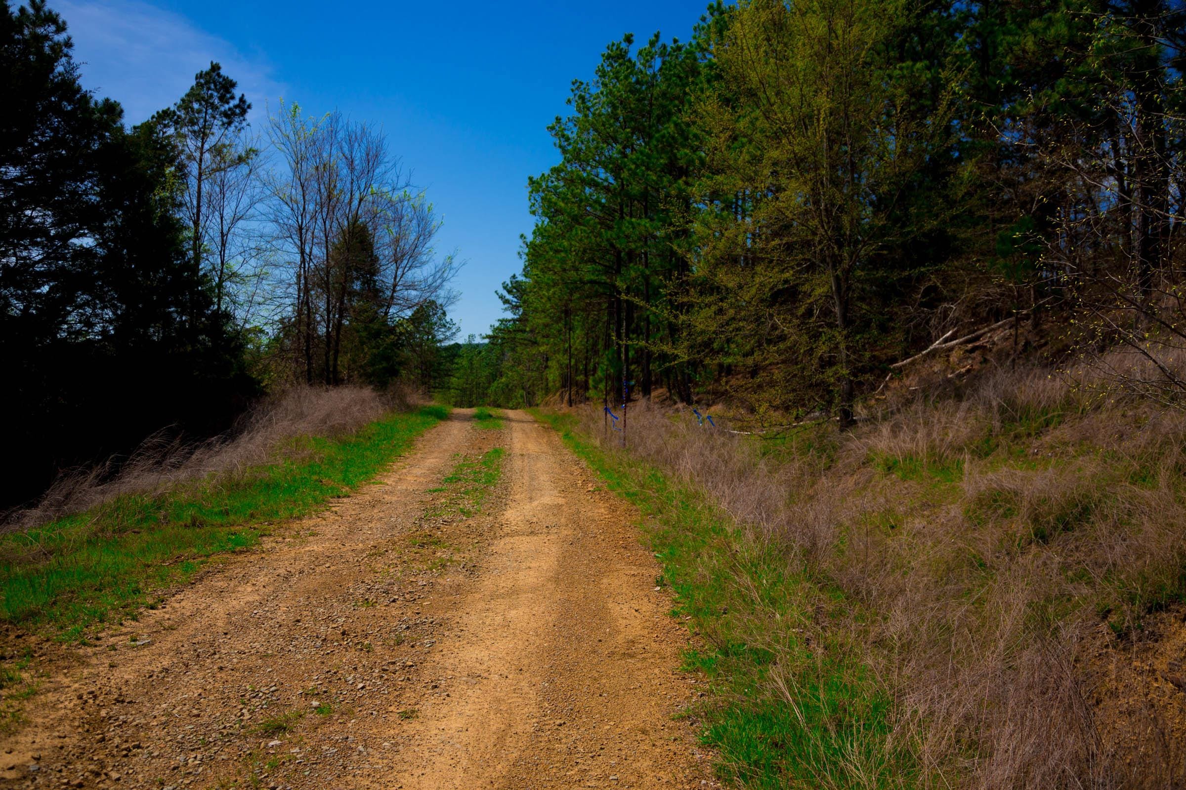 Stone Creek Phase II Tract 232 photo 8