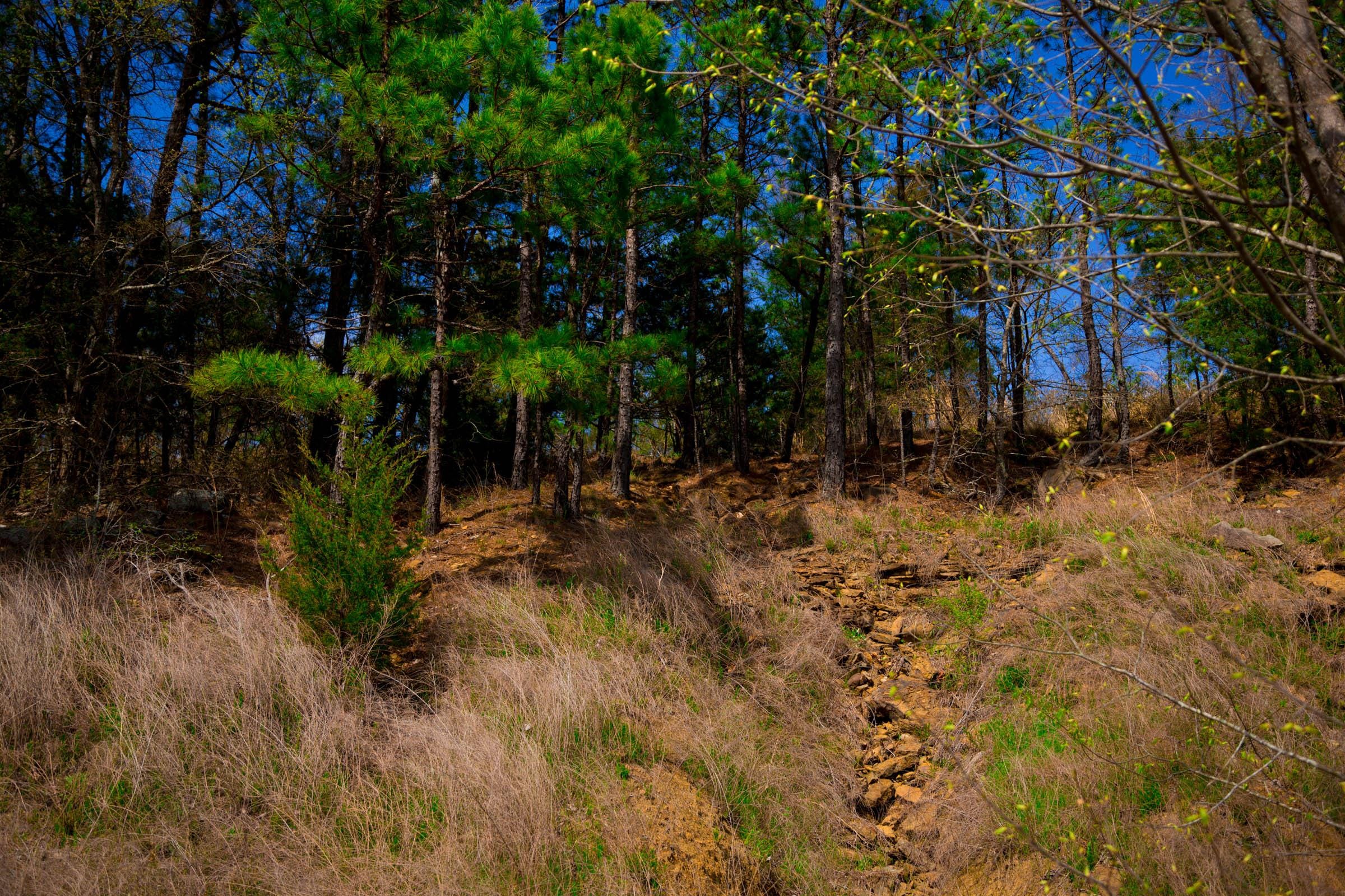 Stone Creek Phase II Tract 232 photo 9