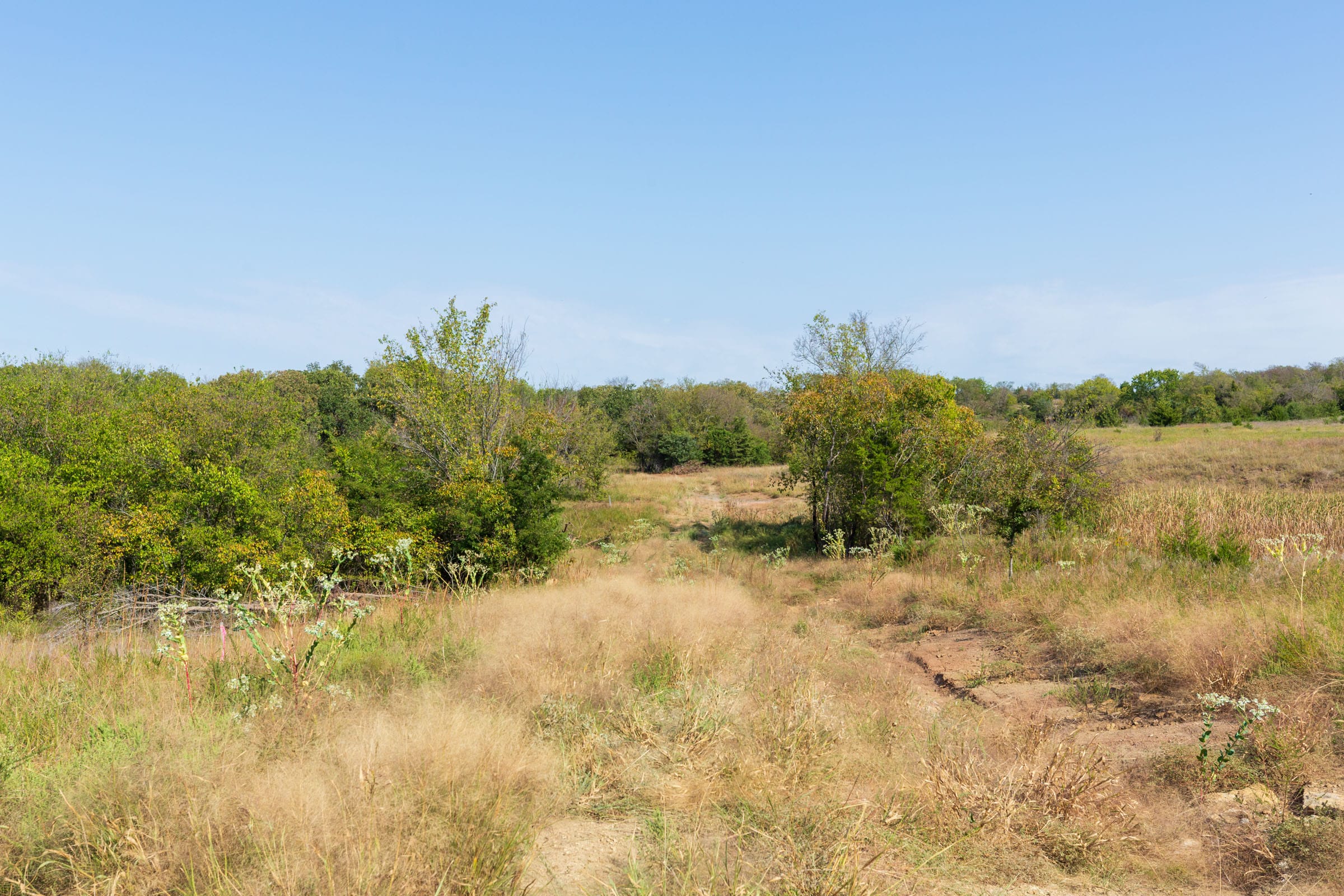 Canyon Creek Tract 14 photo 1