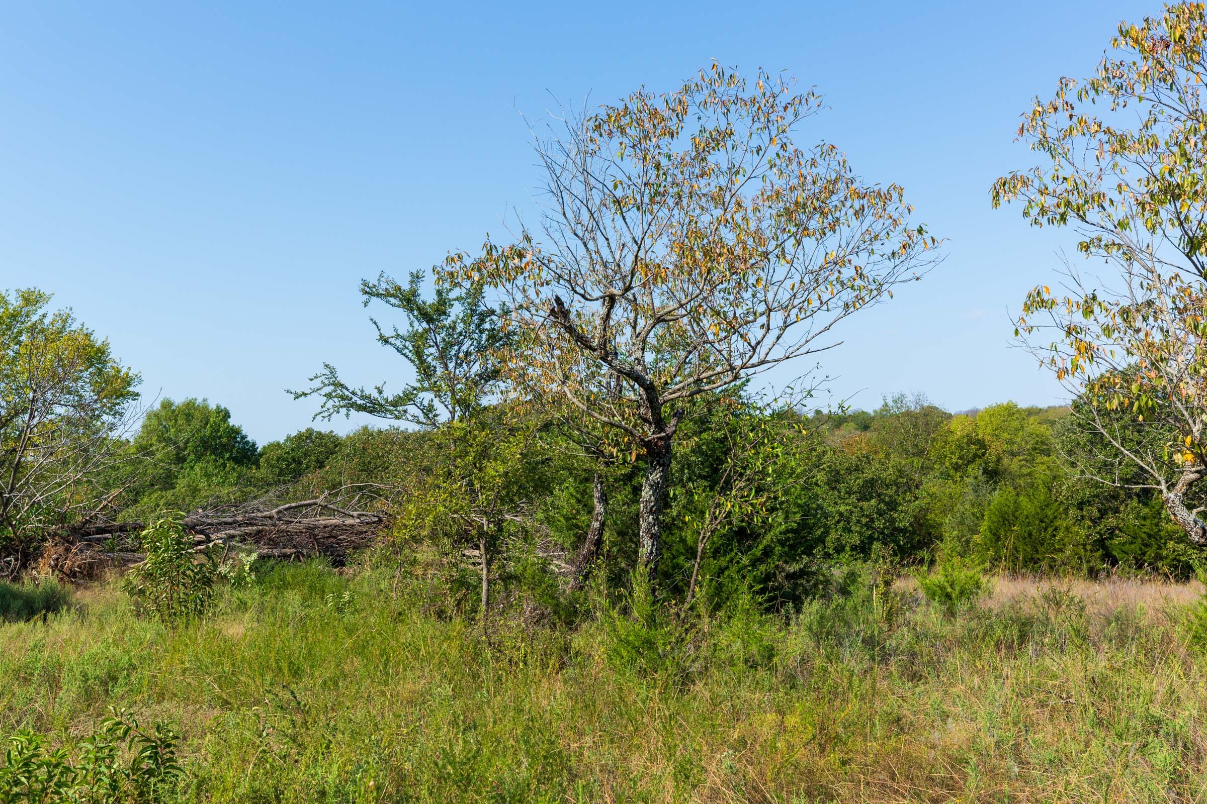 Canyon Creek Tract 14 photo 5