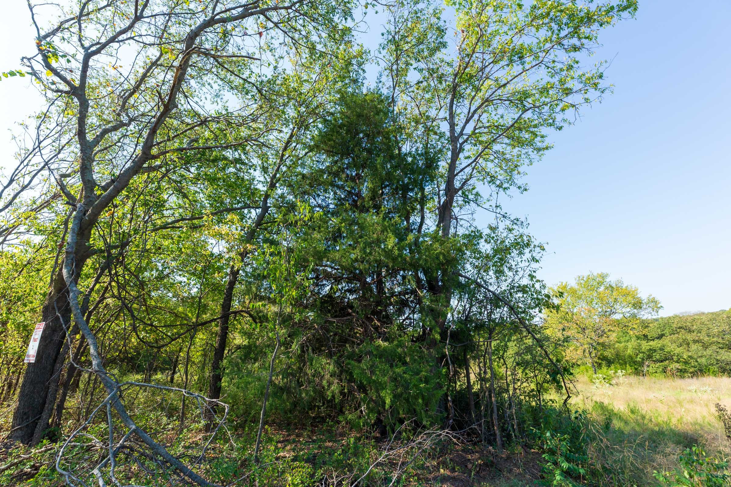 Canyon Creek Tract 14 photo 6