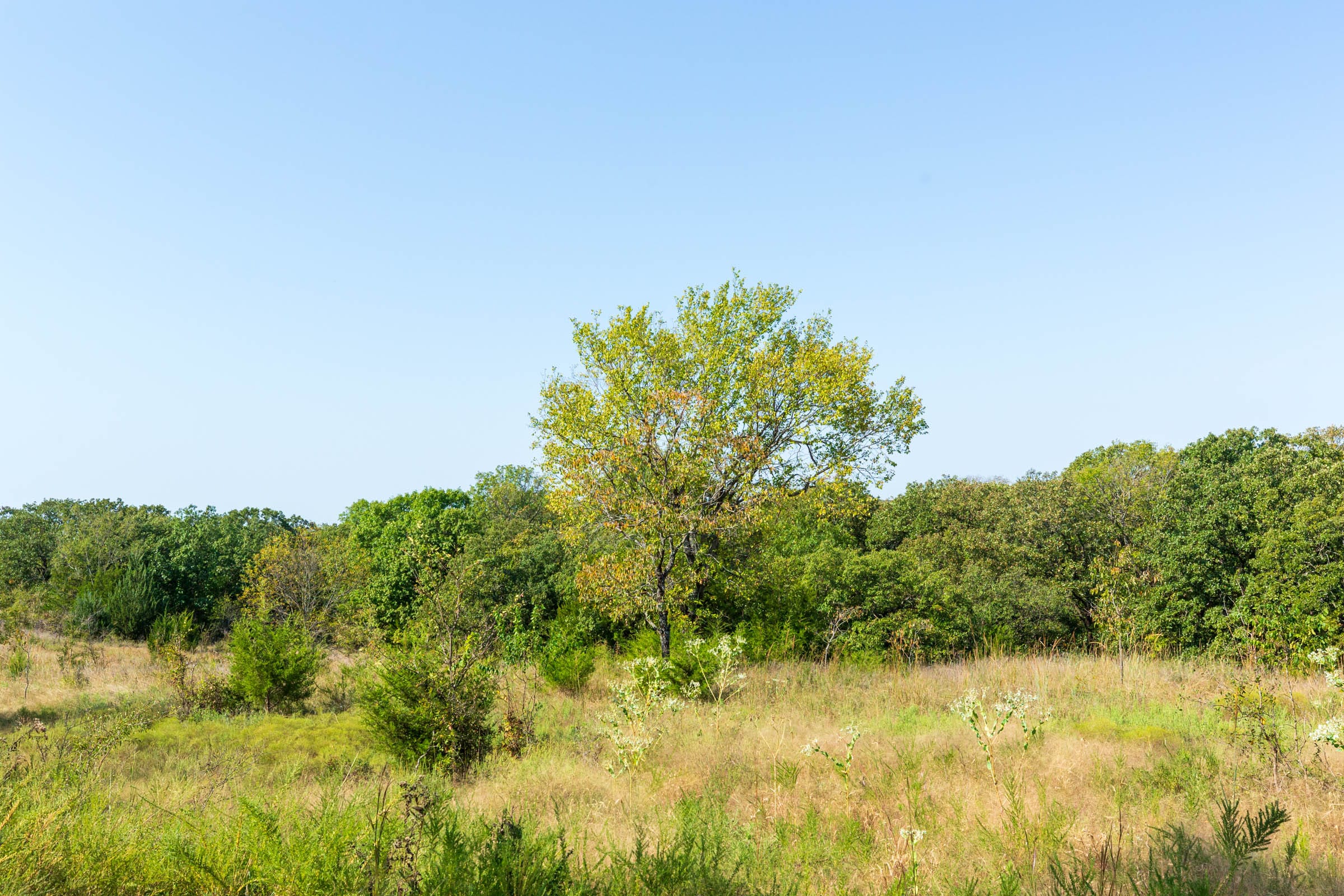 Canyon Creek Tract 14 photo 2