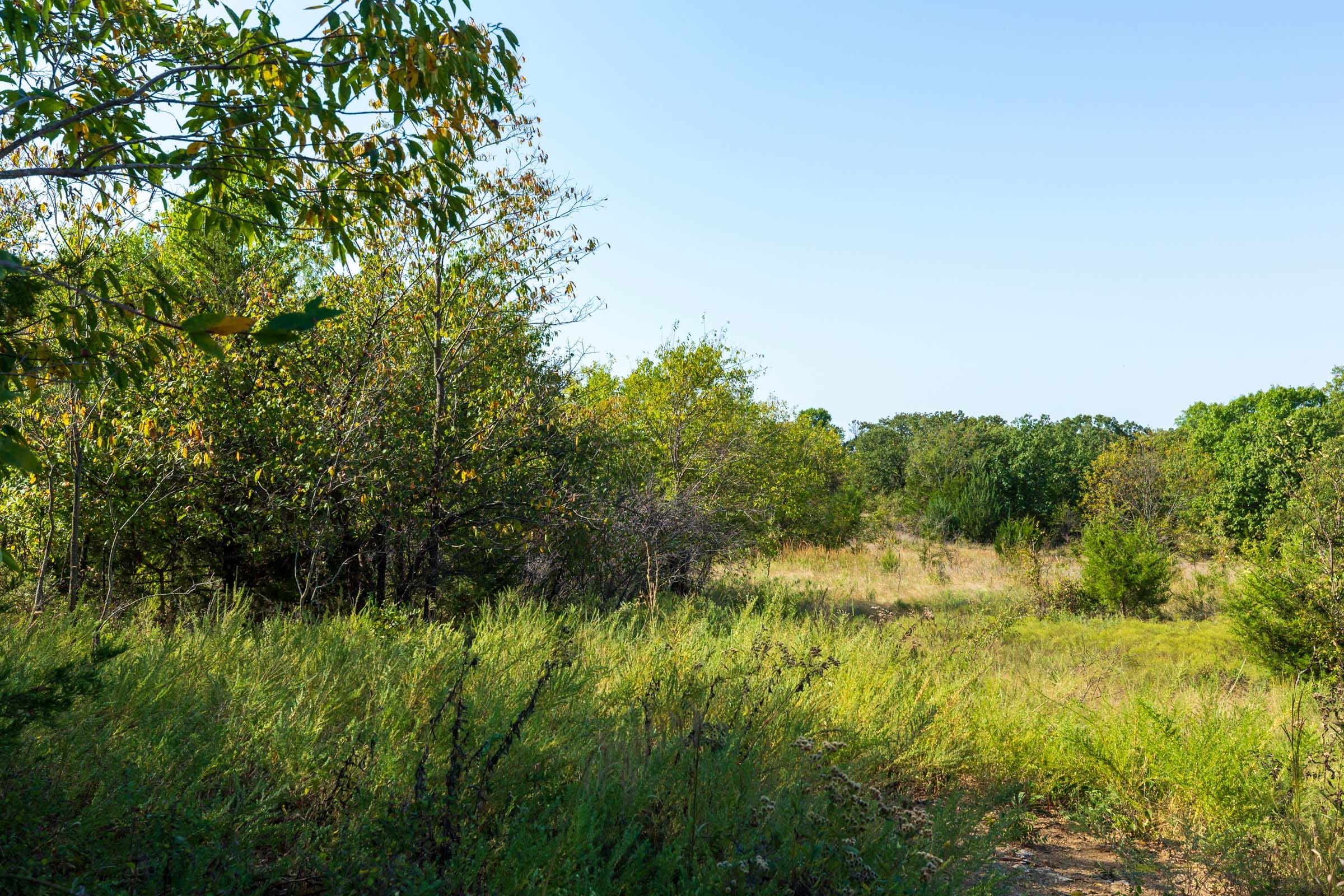 Canyon Creek Tract 14 photo 8
