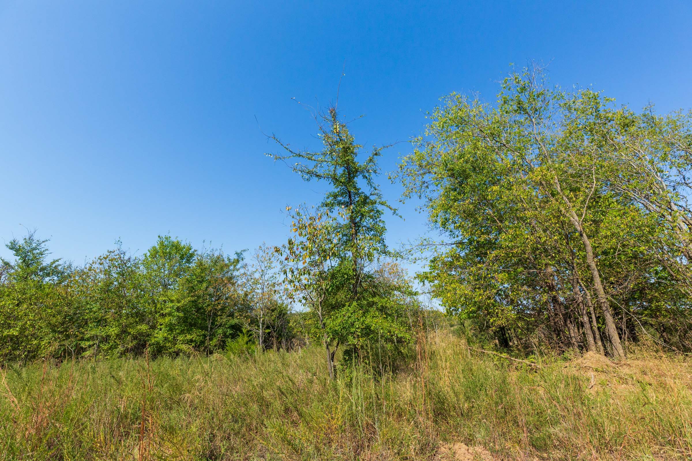 Canyon Creek Tract 14 photo 9