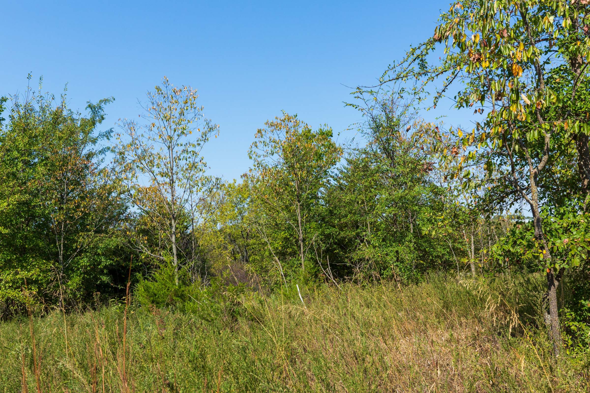 Canyon Creek Tract 14 photo 4