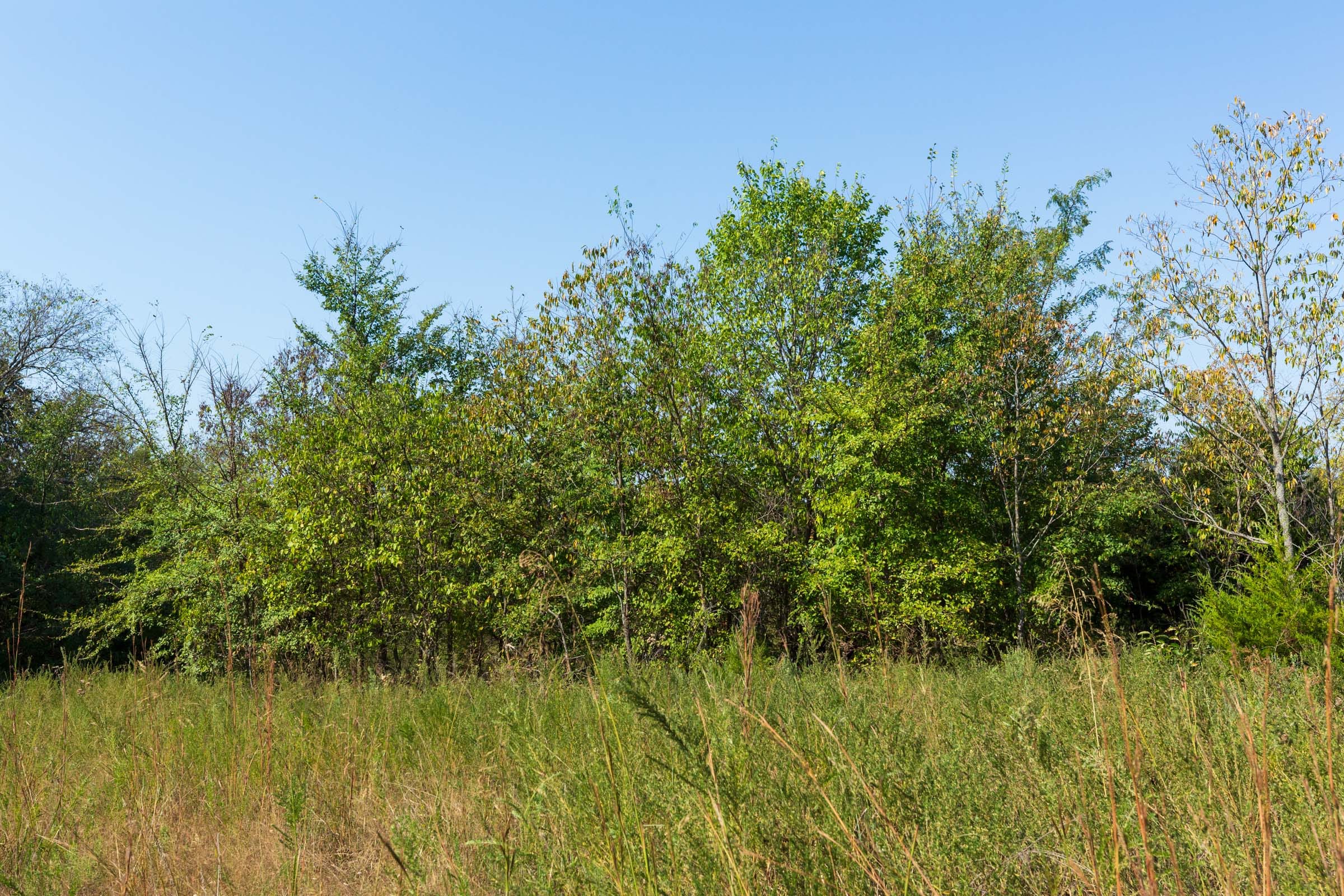 Canyon Creek Tract 14 photo 10
