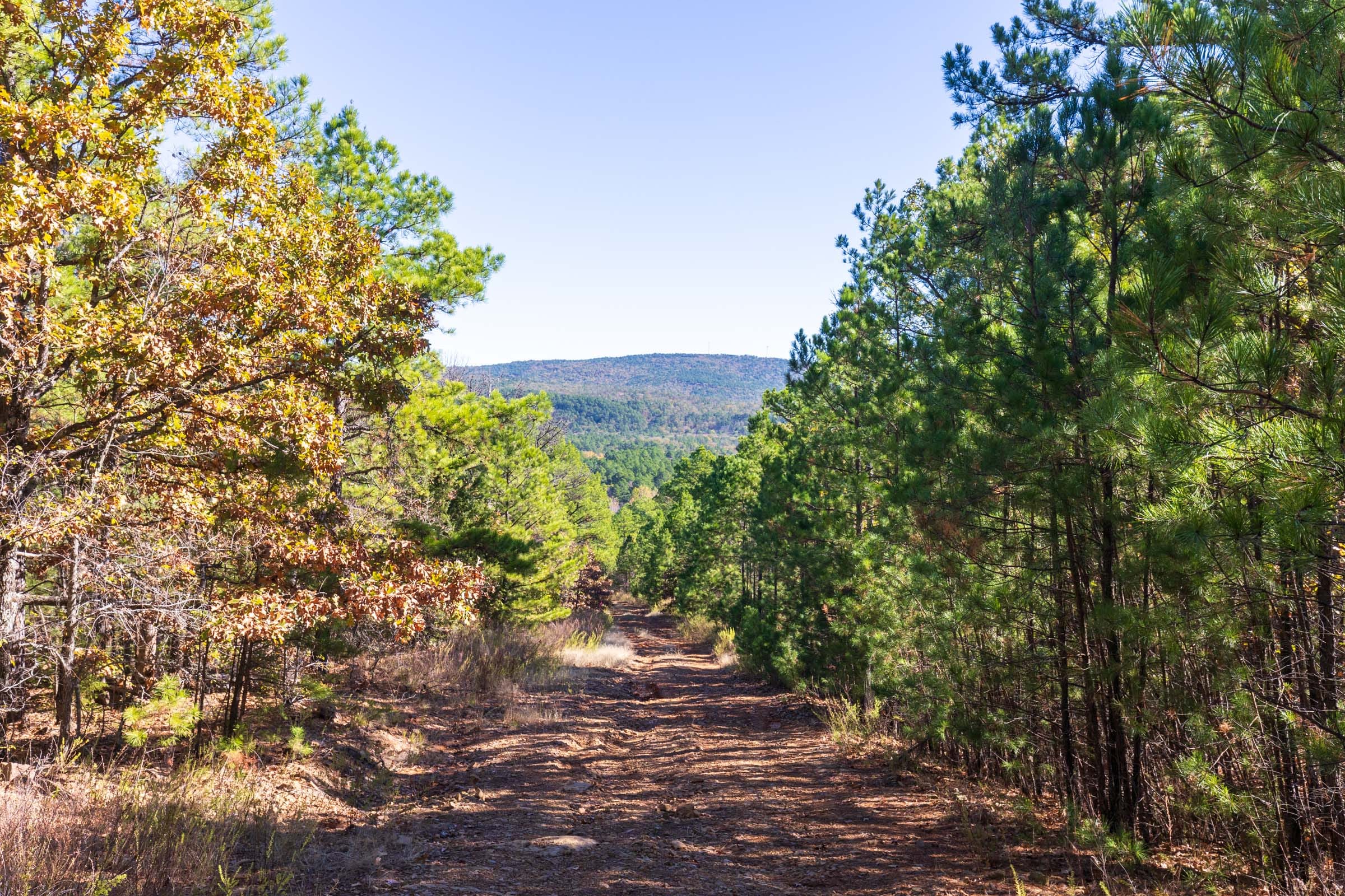 Stone Bridge Reserve Tract 16 photo 10