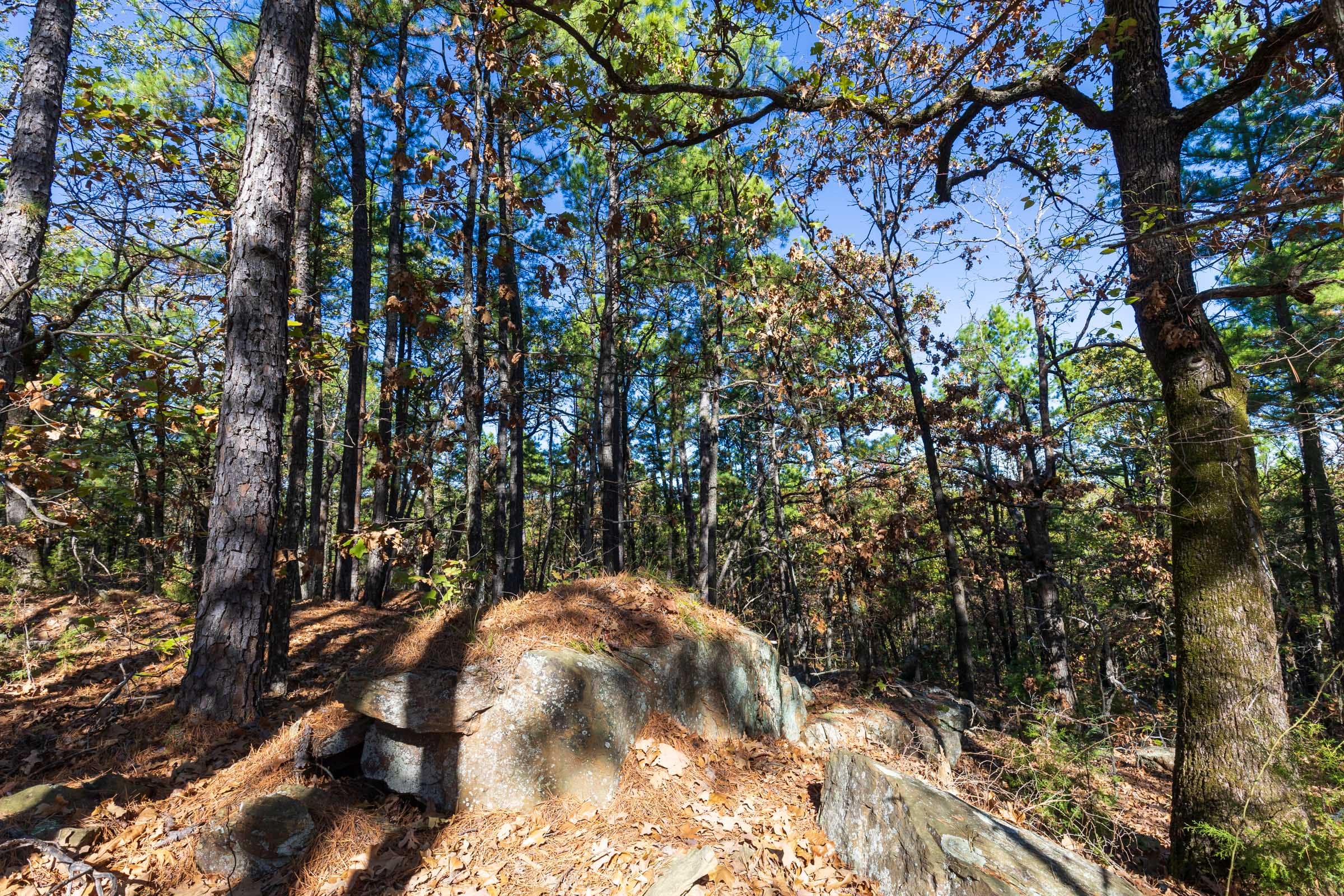 Stone Bridge Reserve Tract 16 photo 13