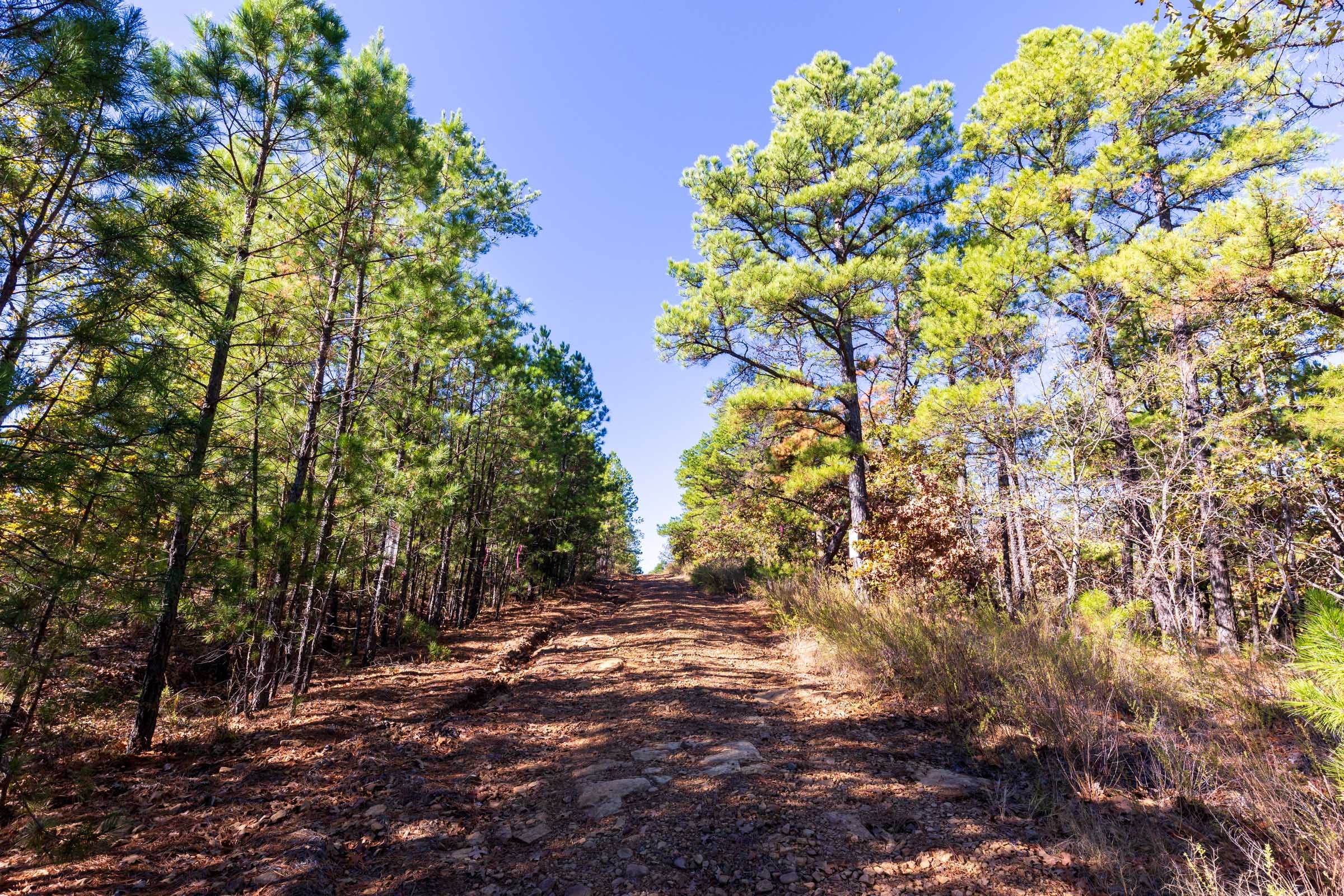 Stone Bridge Reserve Tract 16 photo 1