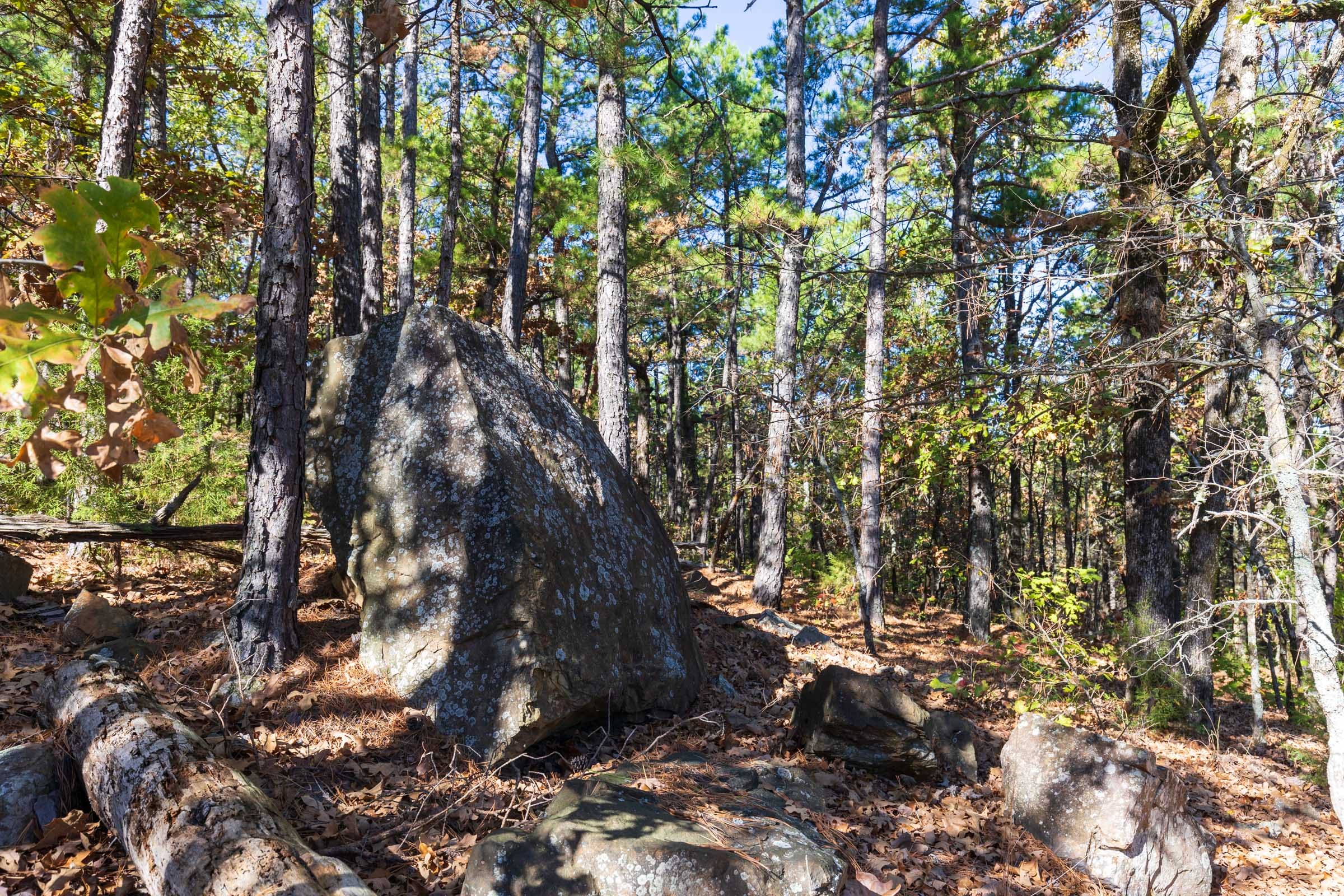 Stone Bridge Reserve Tract 16 photo 11