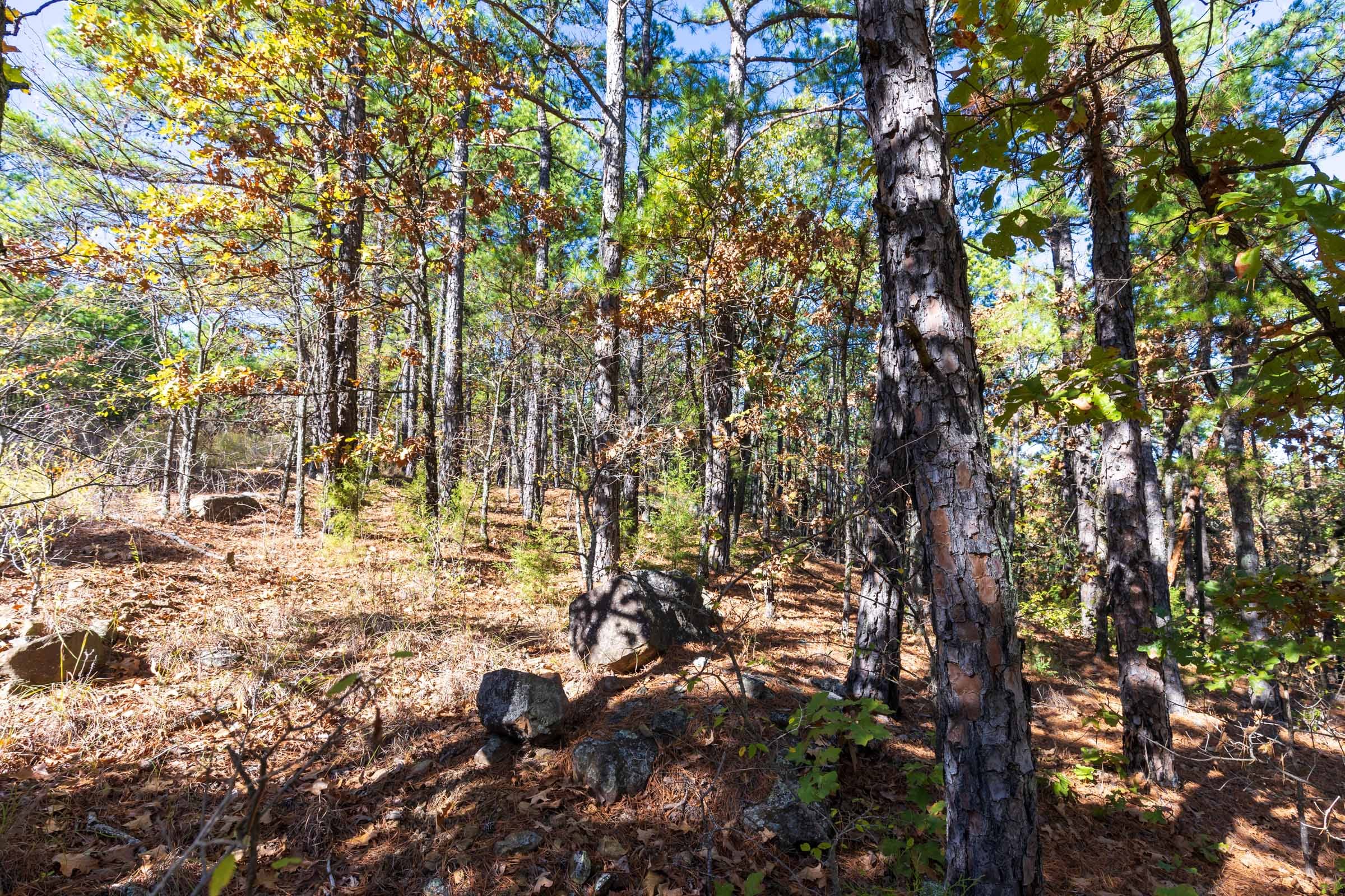 Stone Bridge Reserve Tract 16 photo 12