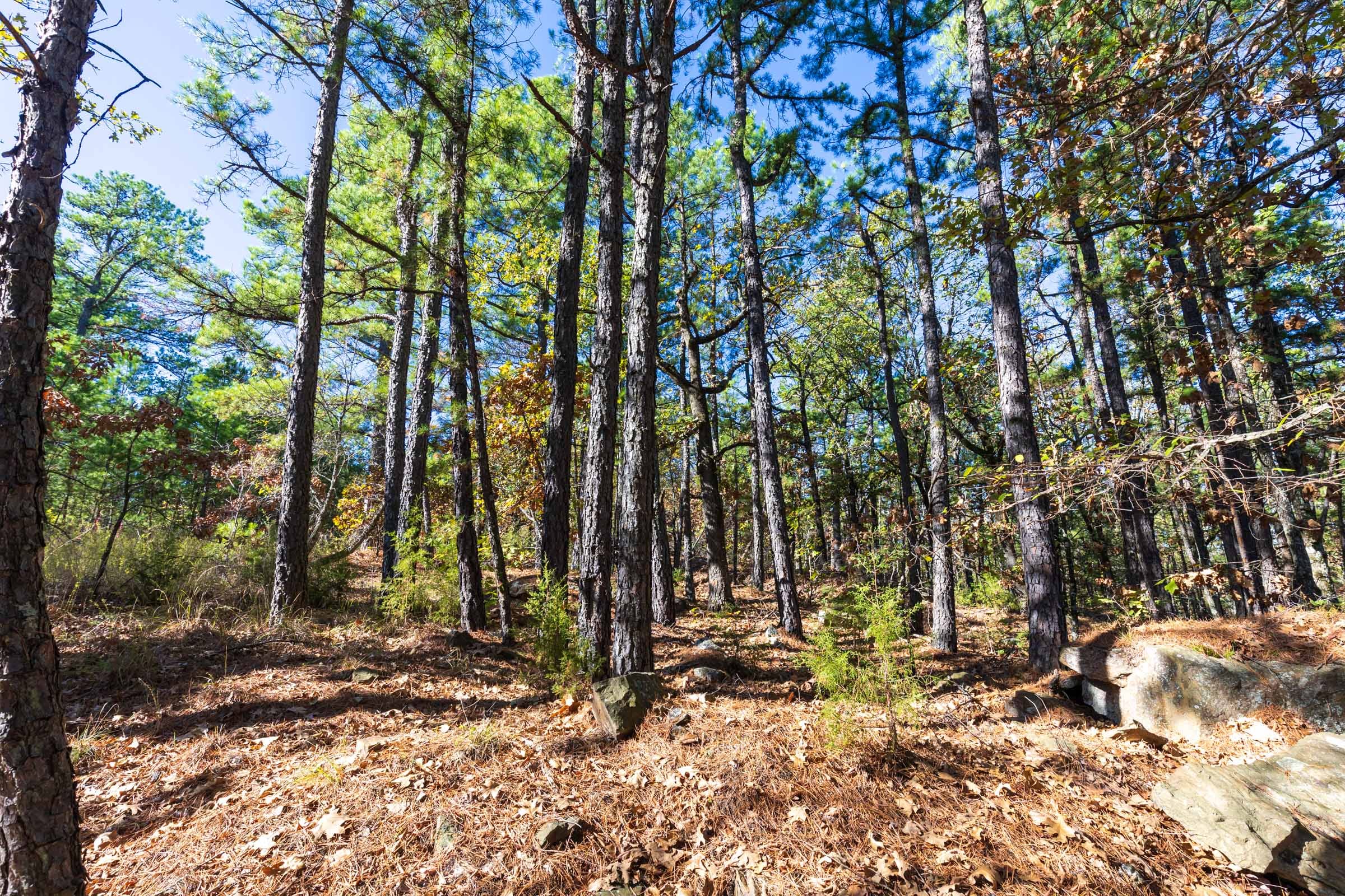 Stone Bridge Reserve Tract 16 photo 9