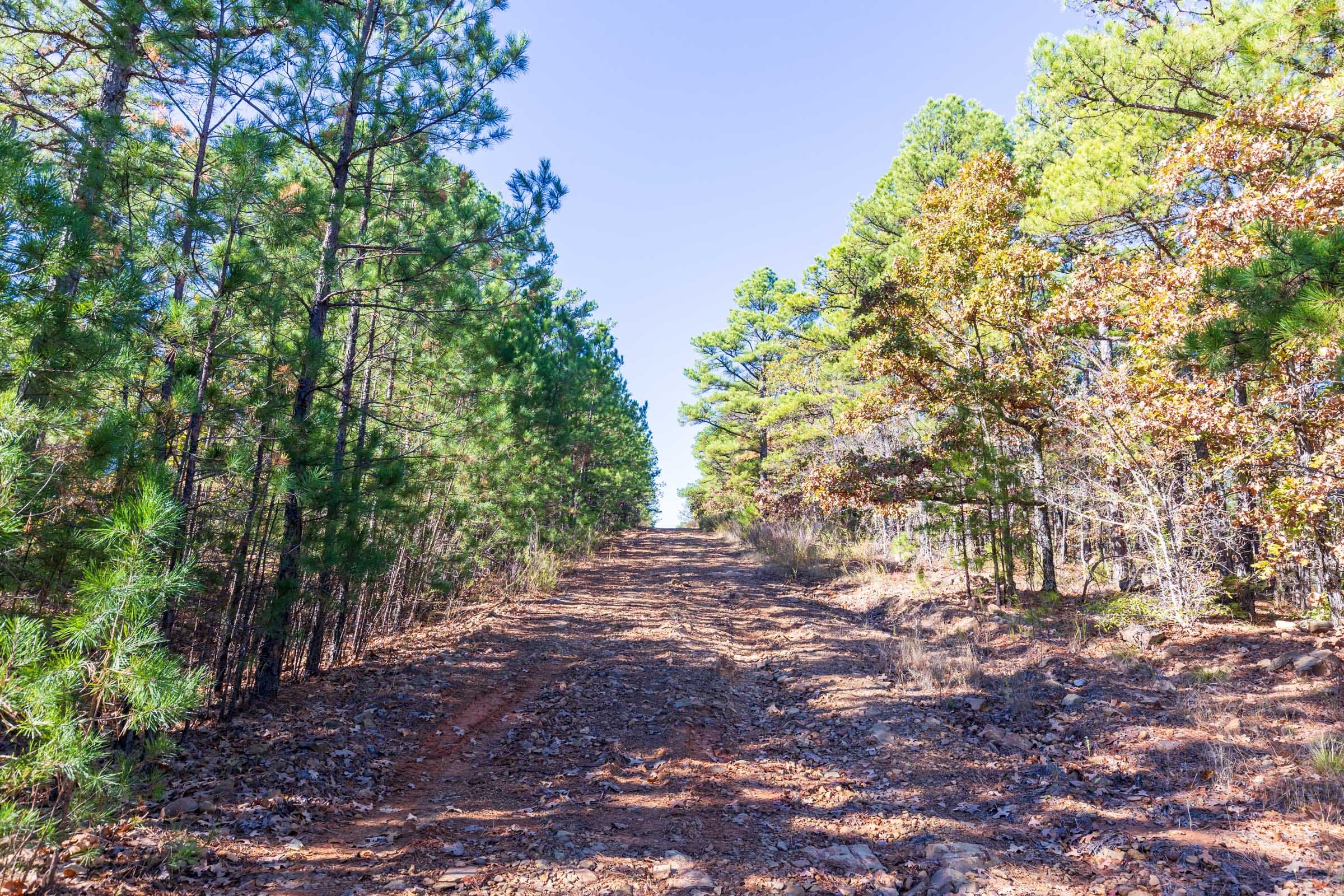 Stone Bridge Reserve Tract 16 photo 6