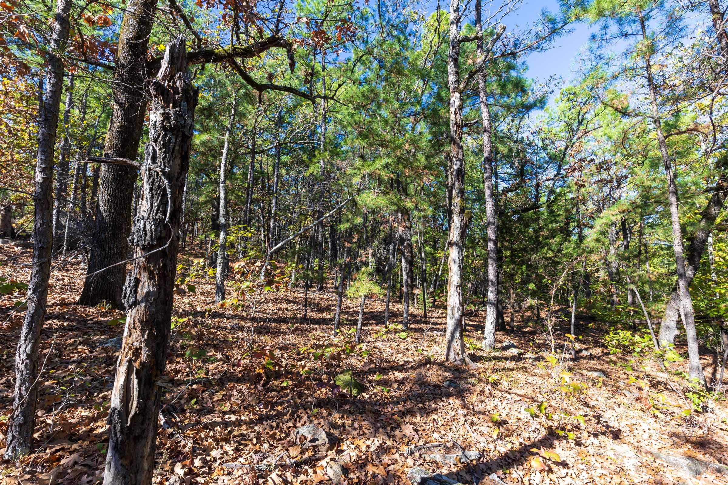 Stone Bridge Reserve Tract 16 photo 7