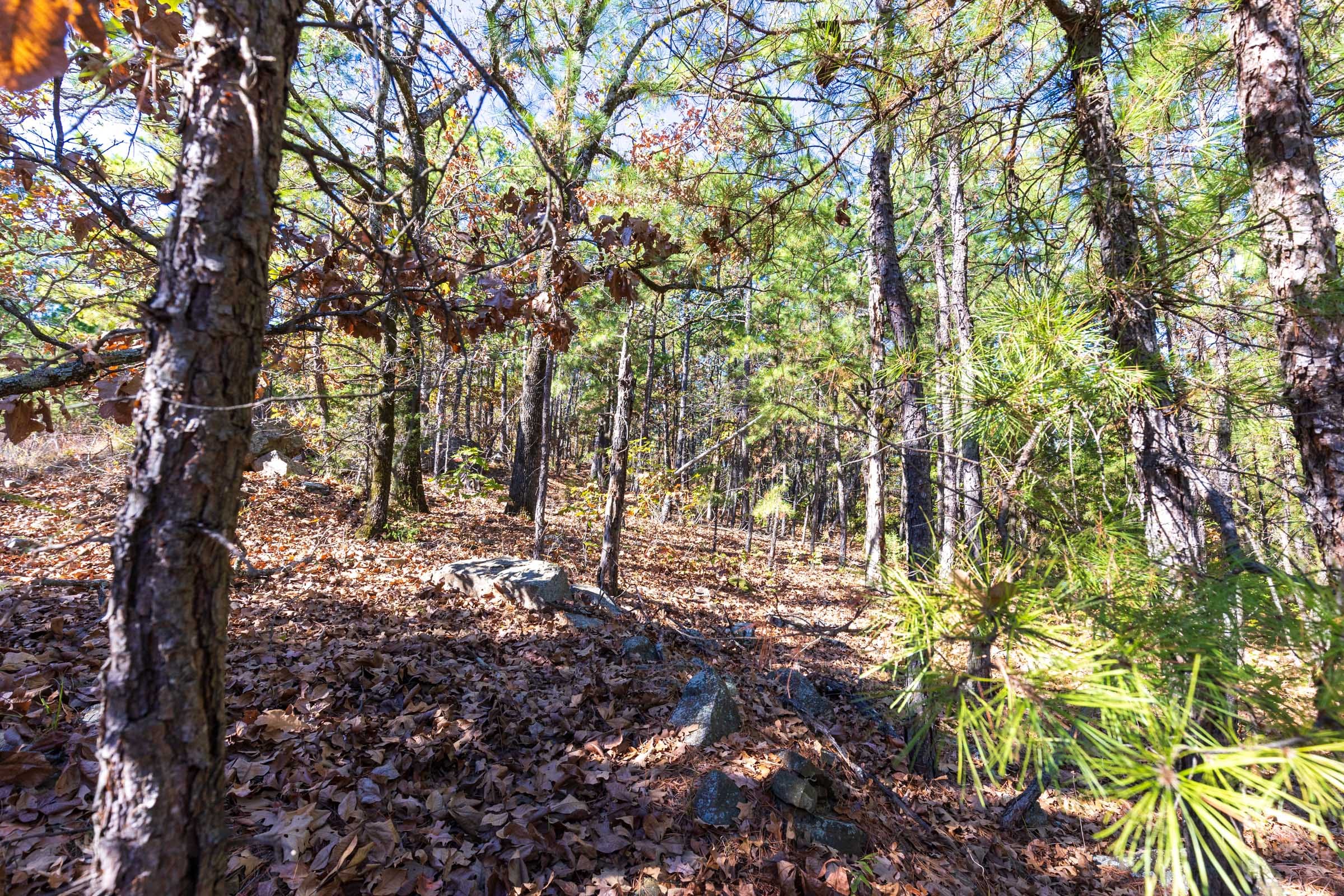 Stone Bridge Reserve Tract 16 photo 5