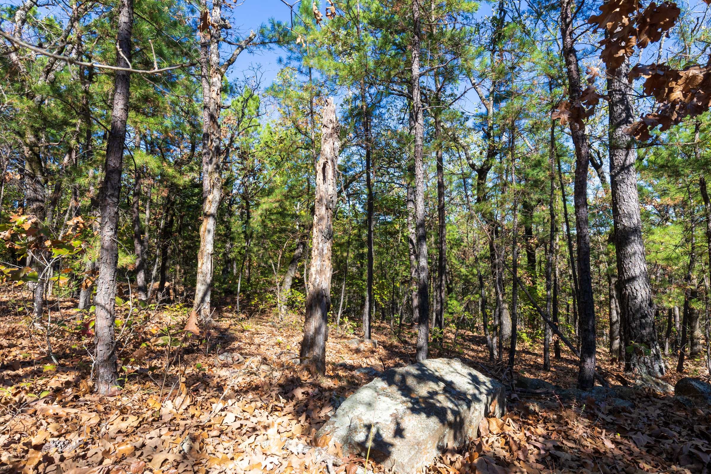 Stone Bridge Reserve Tract 16 photo 3