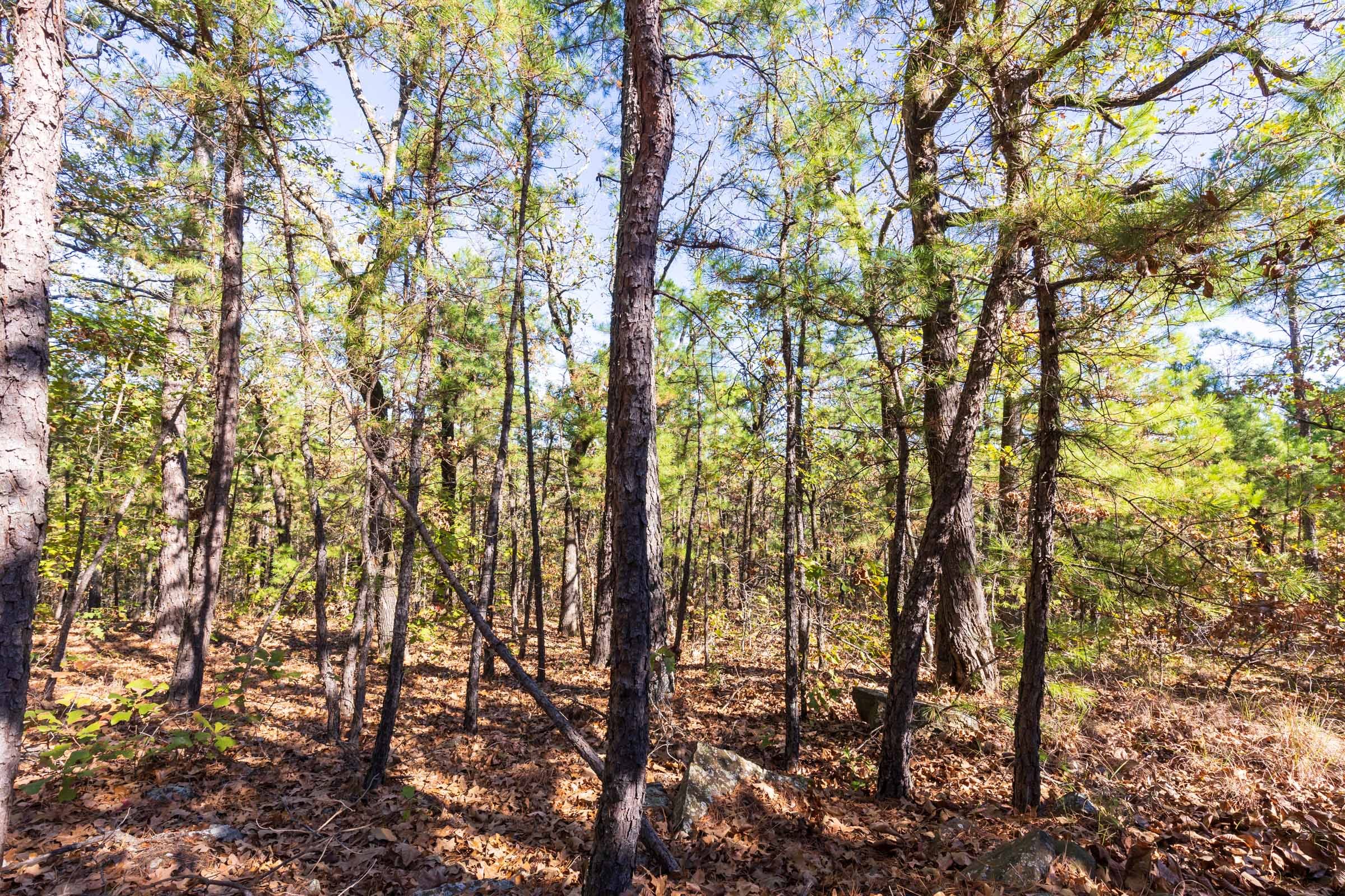 Stone Bridge Reserve Tract 16 photo 4