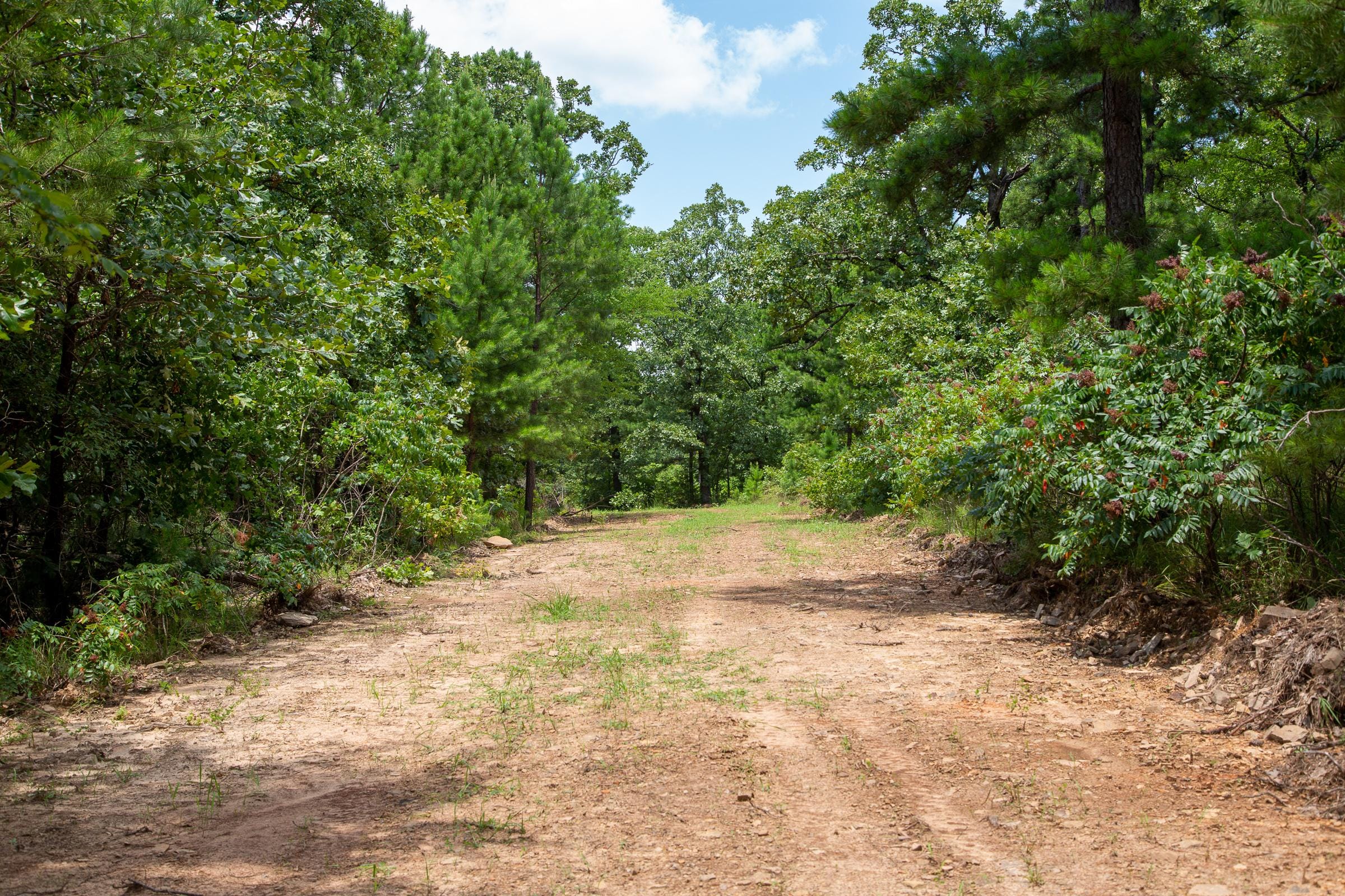 Tyler Stone Ranch Tract 25 photo 2