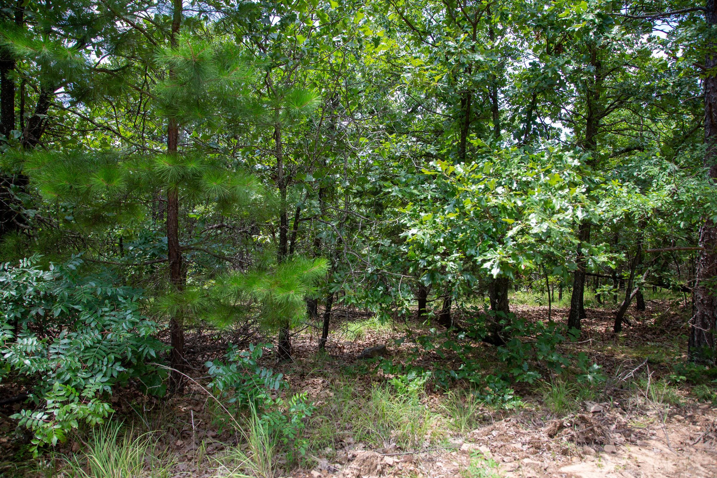 Tyler Stone Ranch Tract 25 photo 3