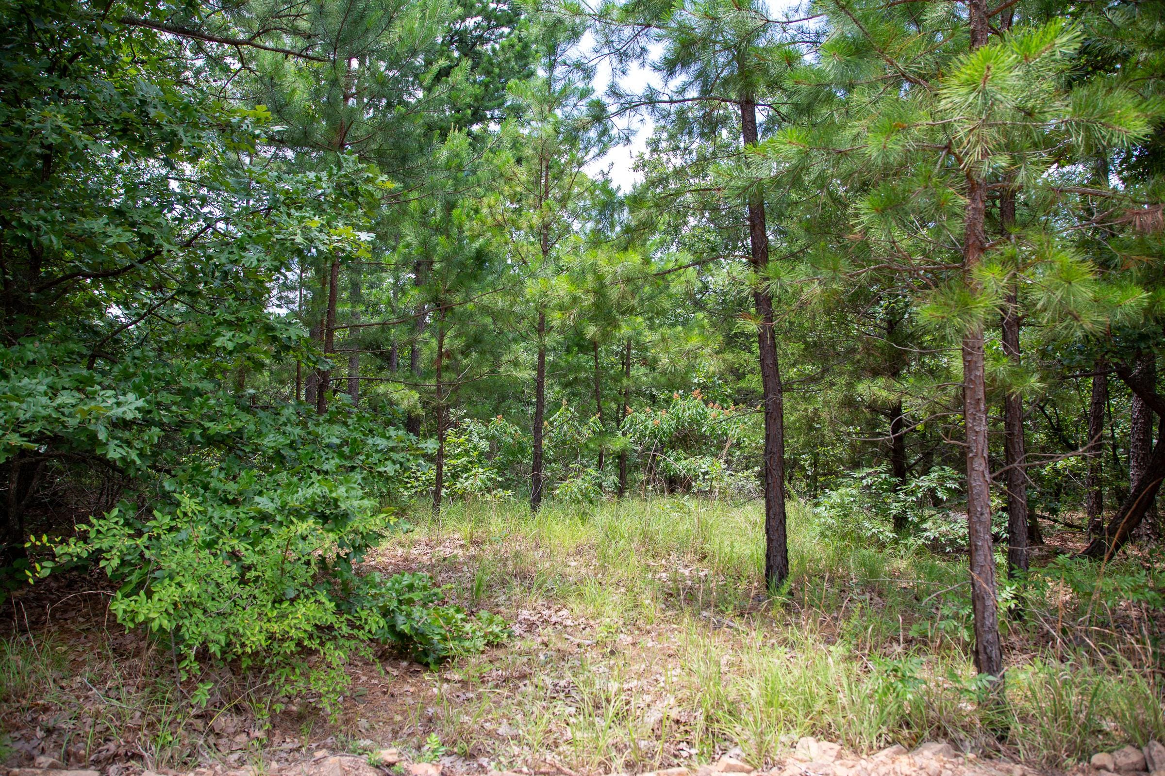 Tyler Stone Ranch Tract 25 photo 5