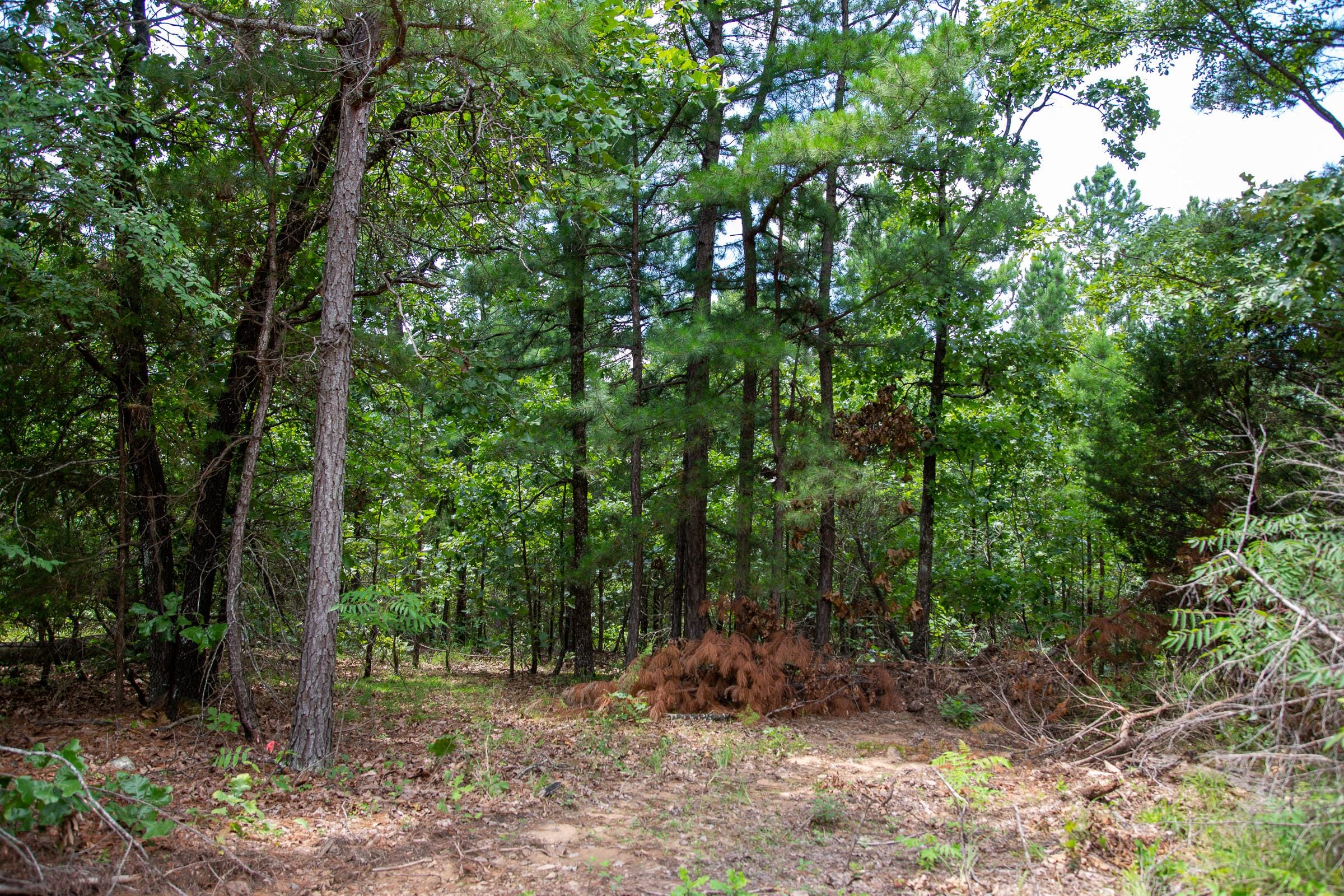 Tyler Stone Ranch Tract 25 photo 6