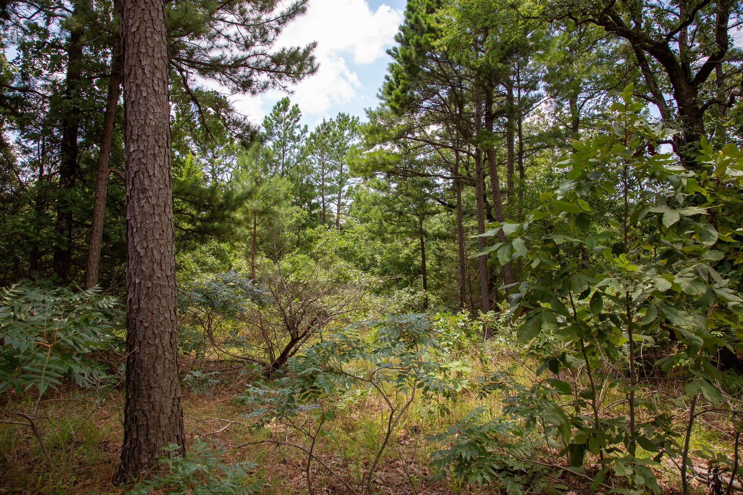 Tyler Stone Ranch Tract 25 photo 7