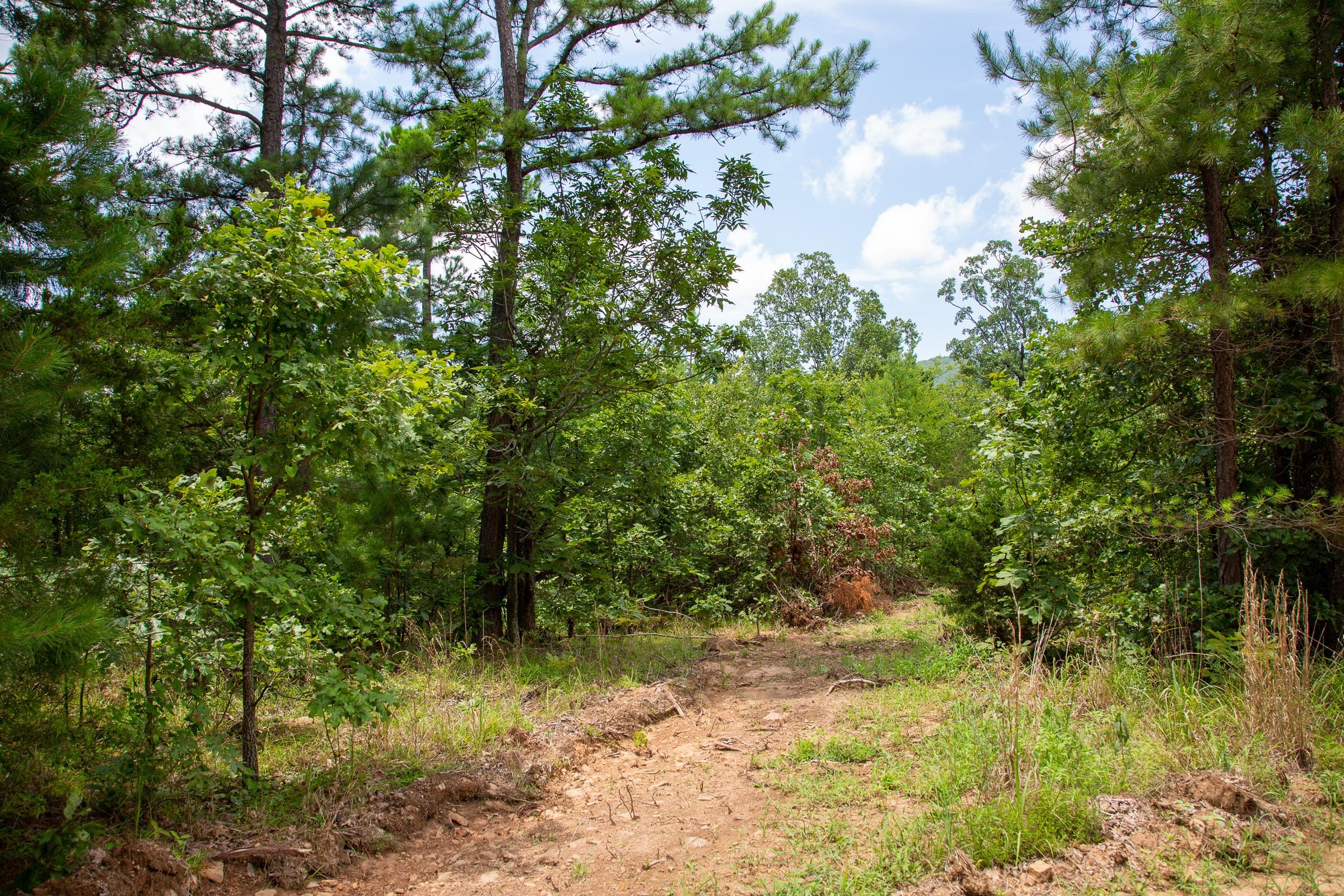 Tyler Stone Ranch Tract 25 photo 8