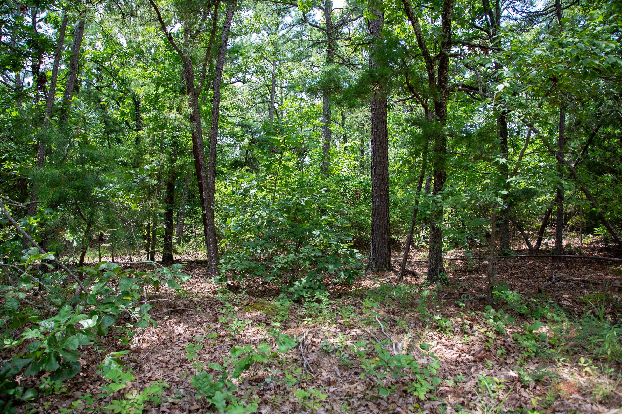 Tyler Stone Ranch Tract 25 photo 9