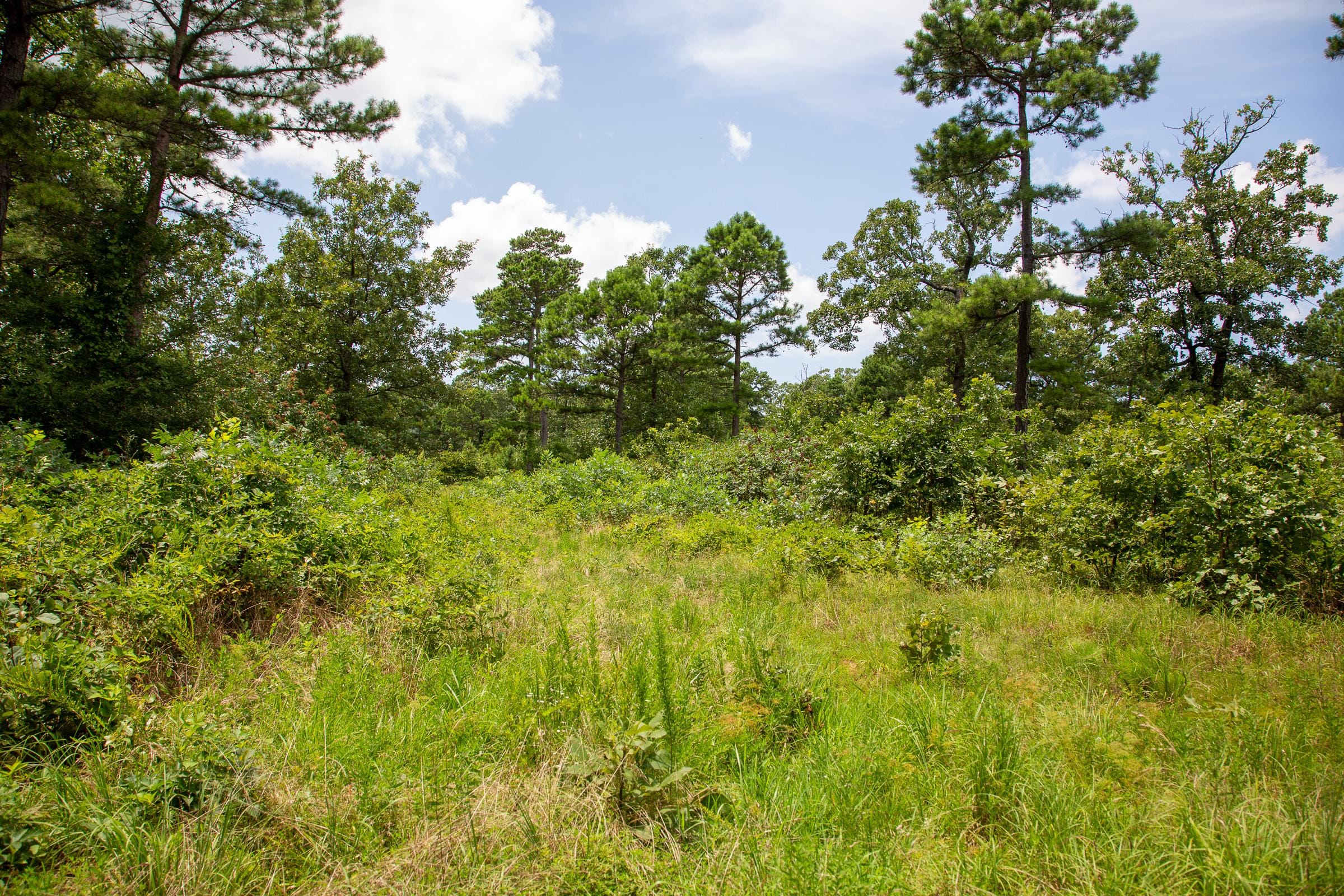 Tyler Stone Ranch Tract 25 photo 1