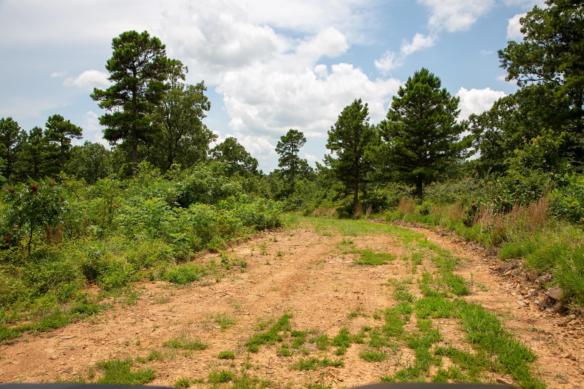 Tyler Stone Ranch Tract 25 photo 12