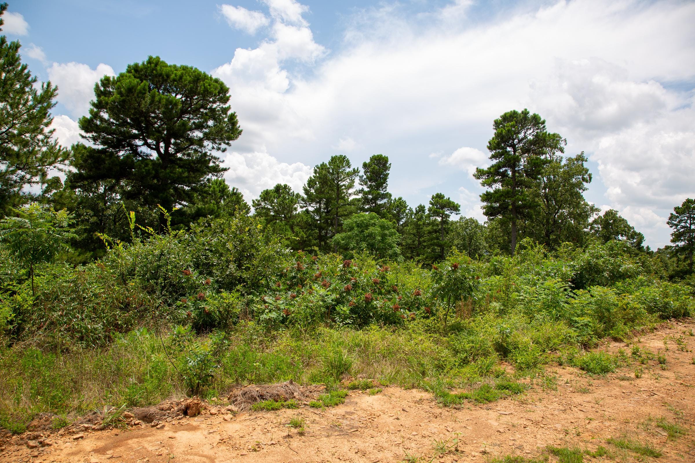 Tyler Stone Ranch Tract 25 photo 10
