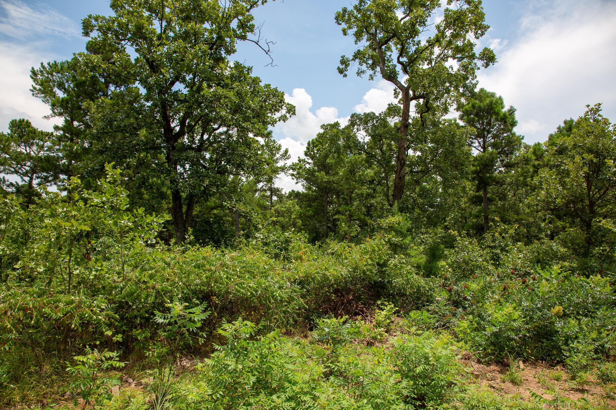 Tyler Stone Ranch Tract 25 photo 11
