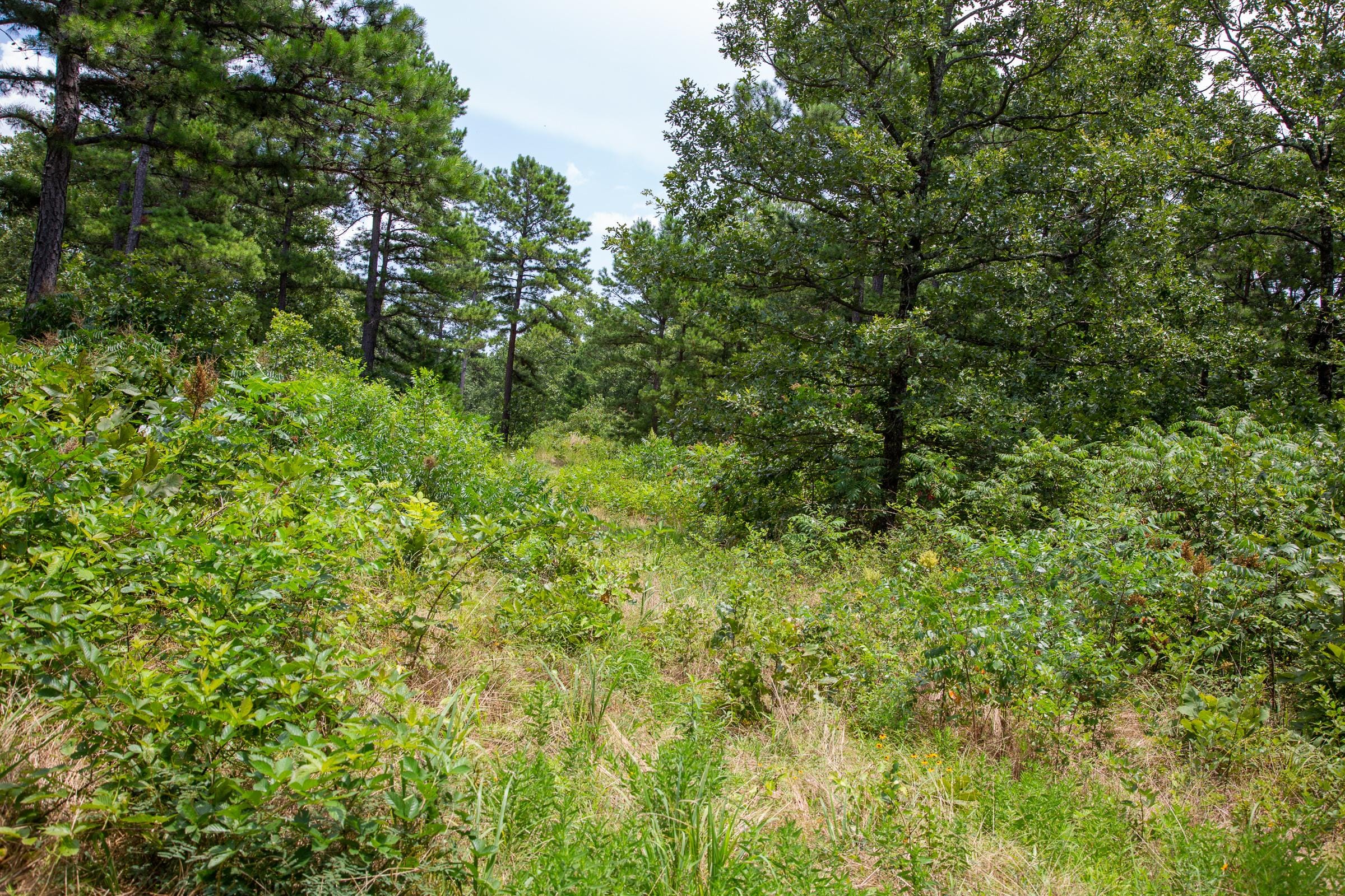 Tyler Stone Ranch Tract 25 photo 13