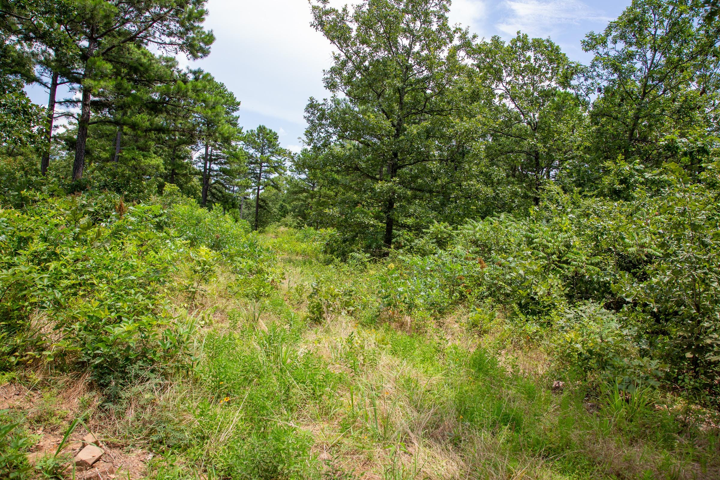 Tyler Stone Ranch Tract 25 photo 14