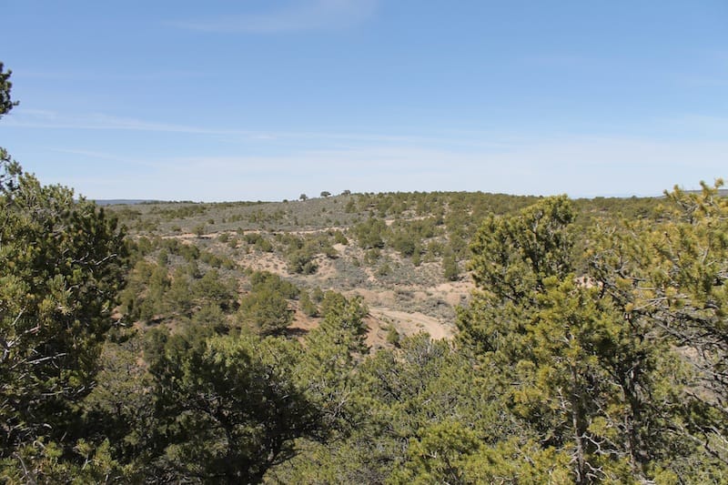 Sangre De Cristo Ranches Tract 4101 photo 6