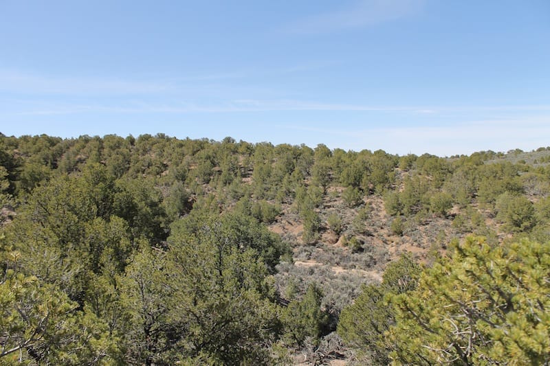 Sangre De Cristo Ranches Tract 4101 photo 9