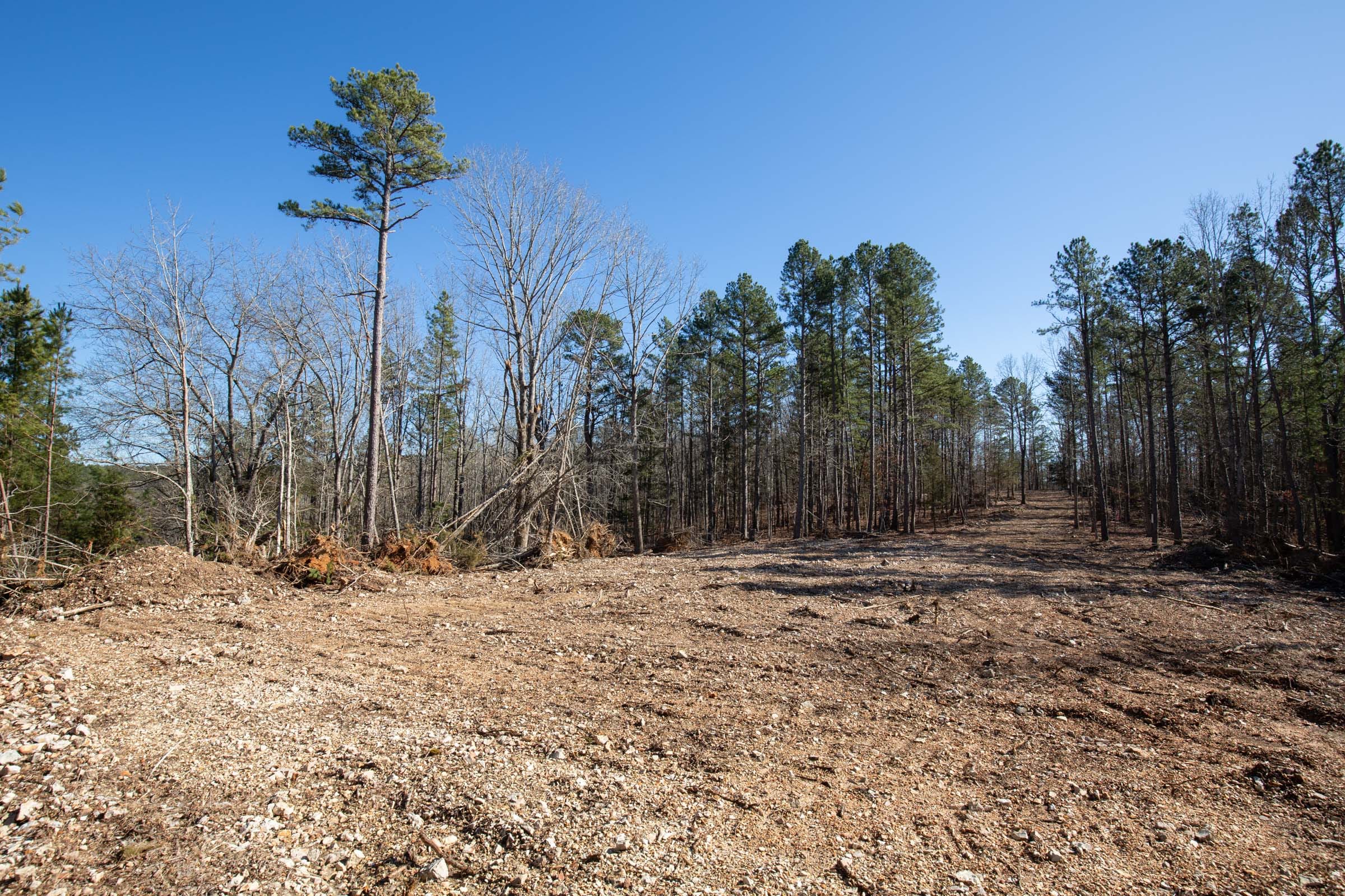 O’Connor Crossing Tract 11 photo 6