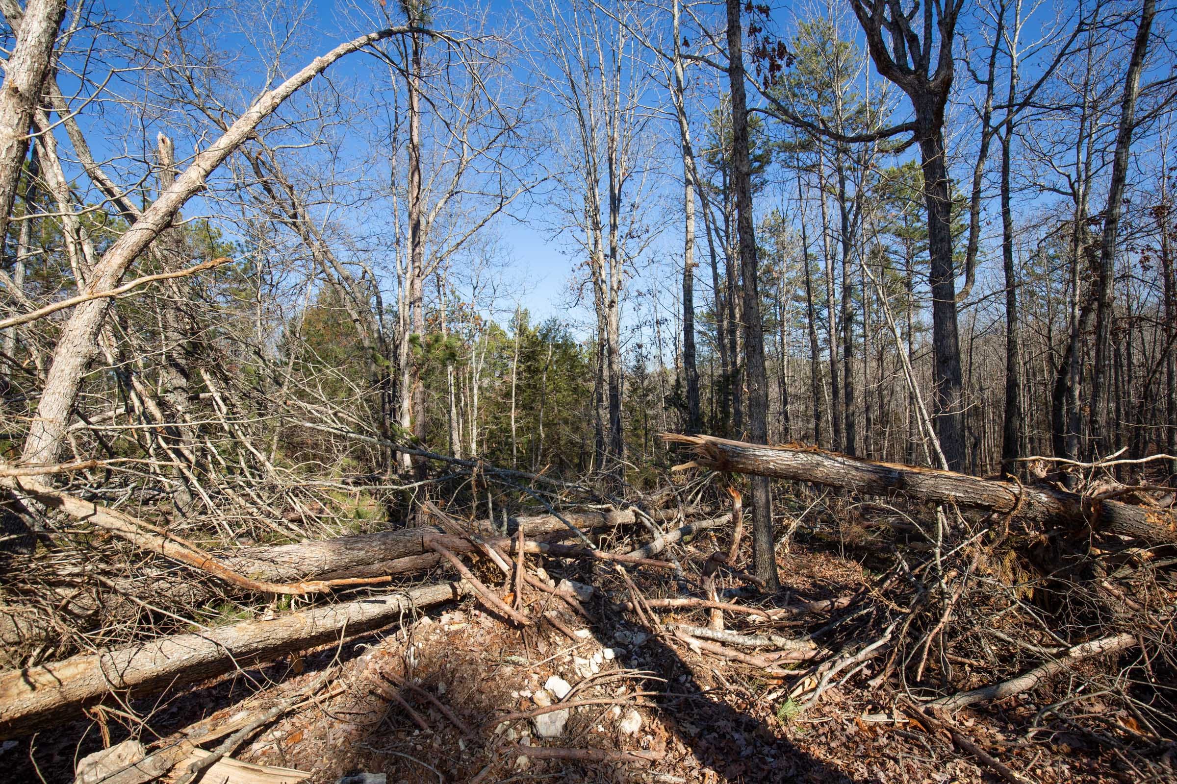 O’Connor Crossing Tract 11 photo 4