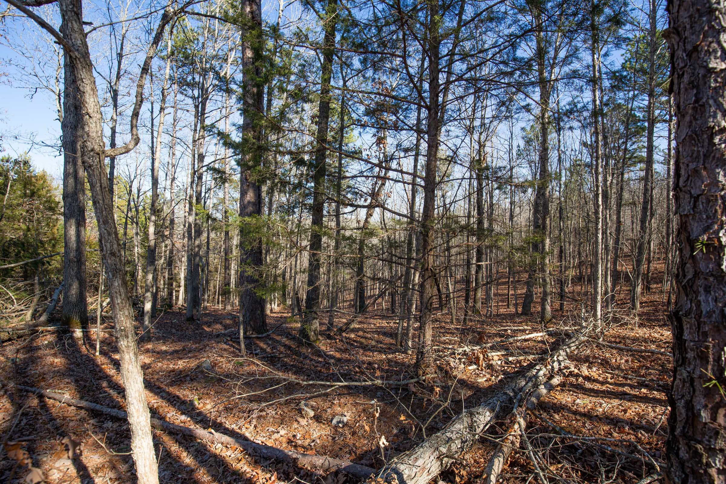 O’Connor Crossing Tract 11 photo 7