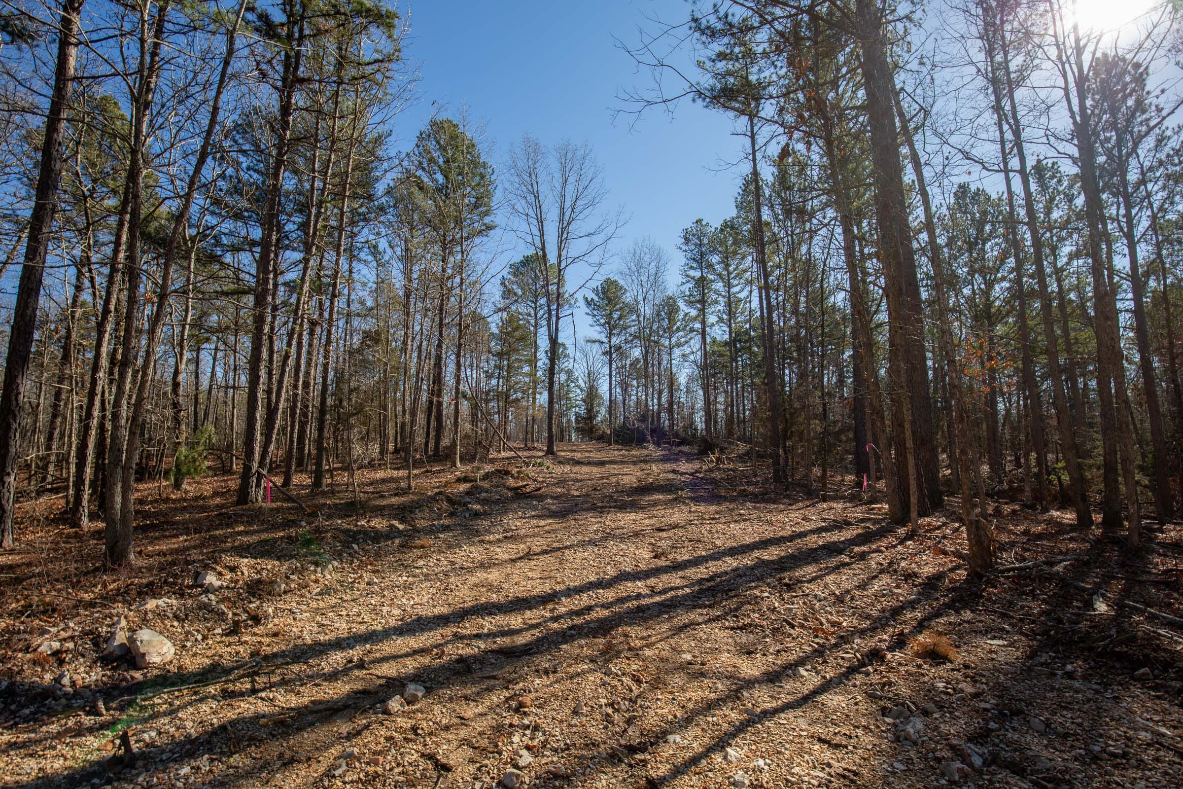 O’Connor Crossing Tract 11 photo 10