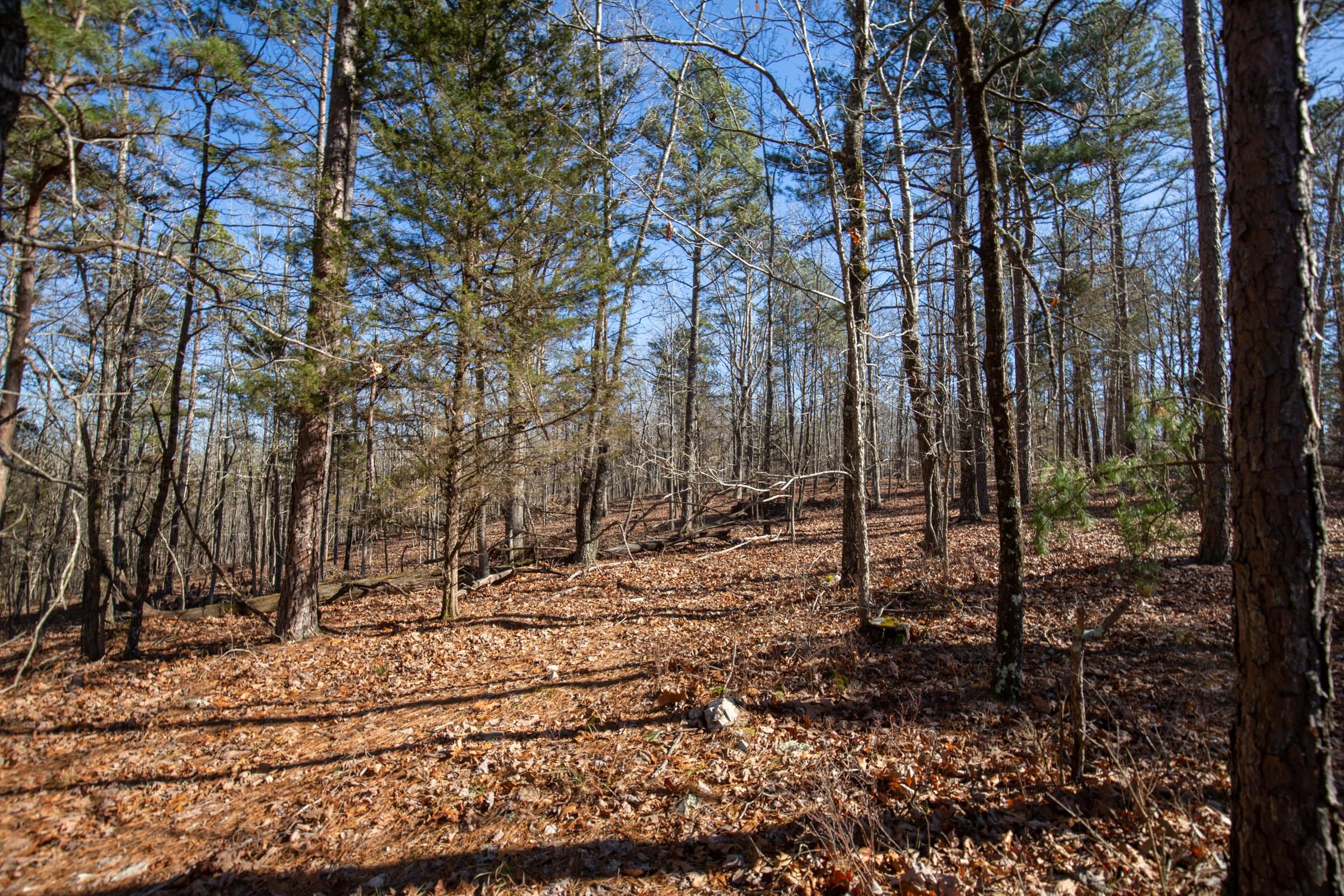 O’Connor Crossing Tract 11 photo 12