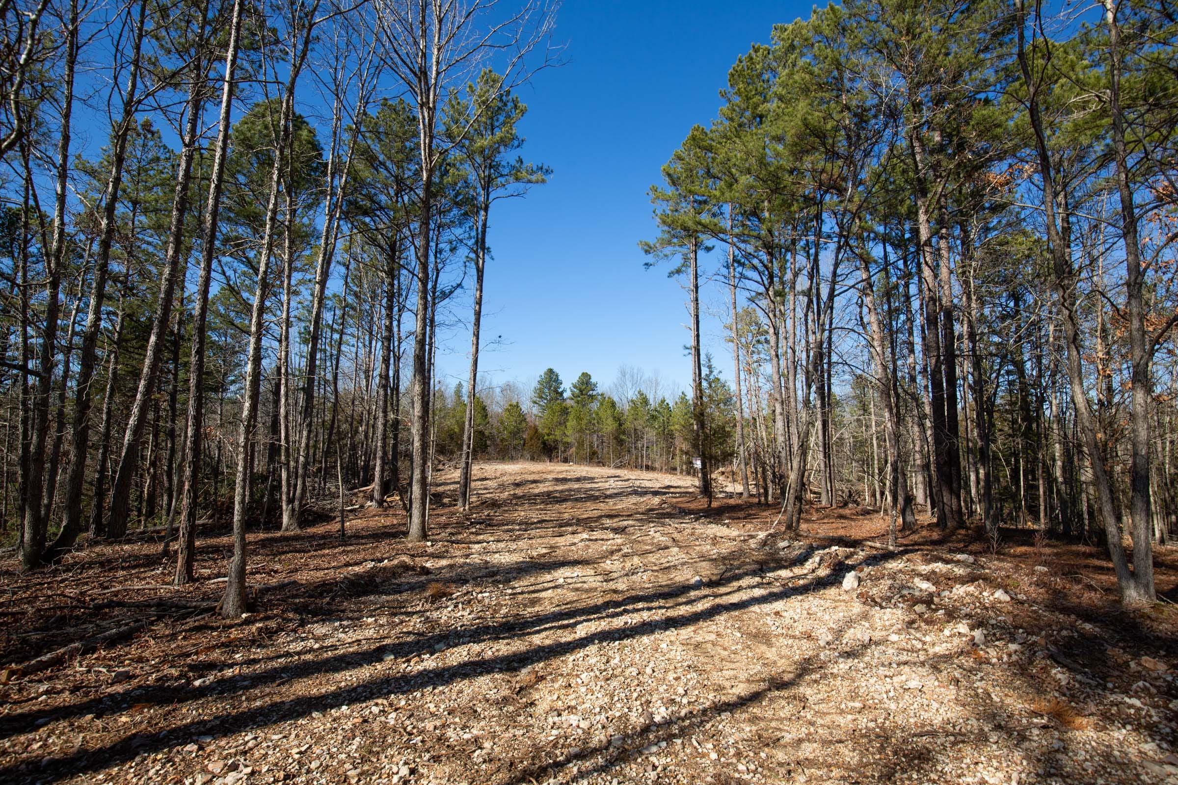 O’Connor Crossing Tract 11 photo 2