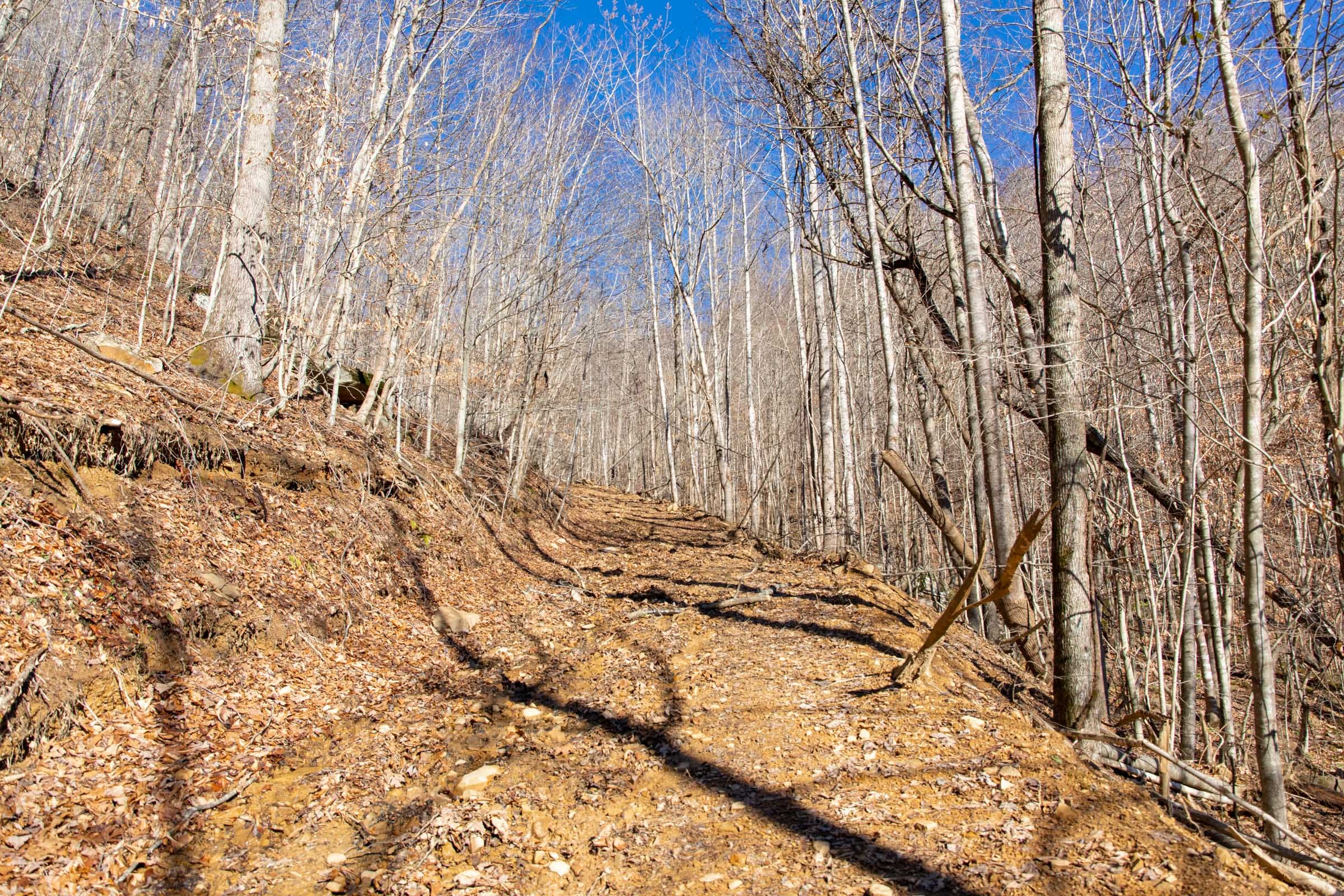 Blackstone Mountain Phase I Tract 49 photo 7