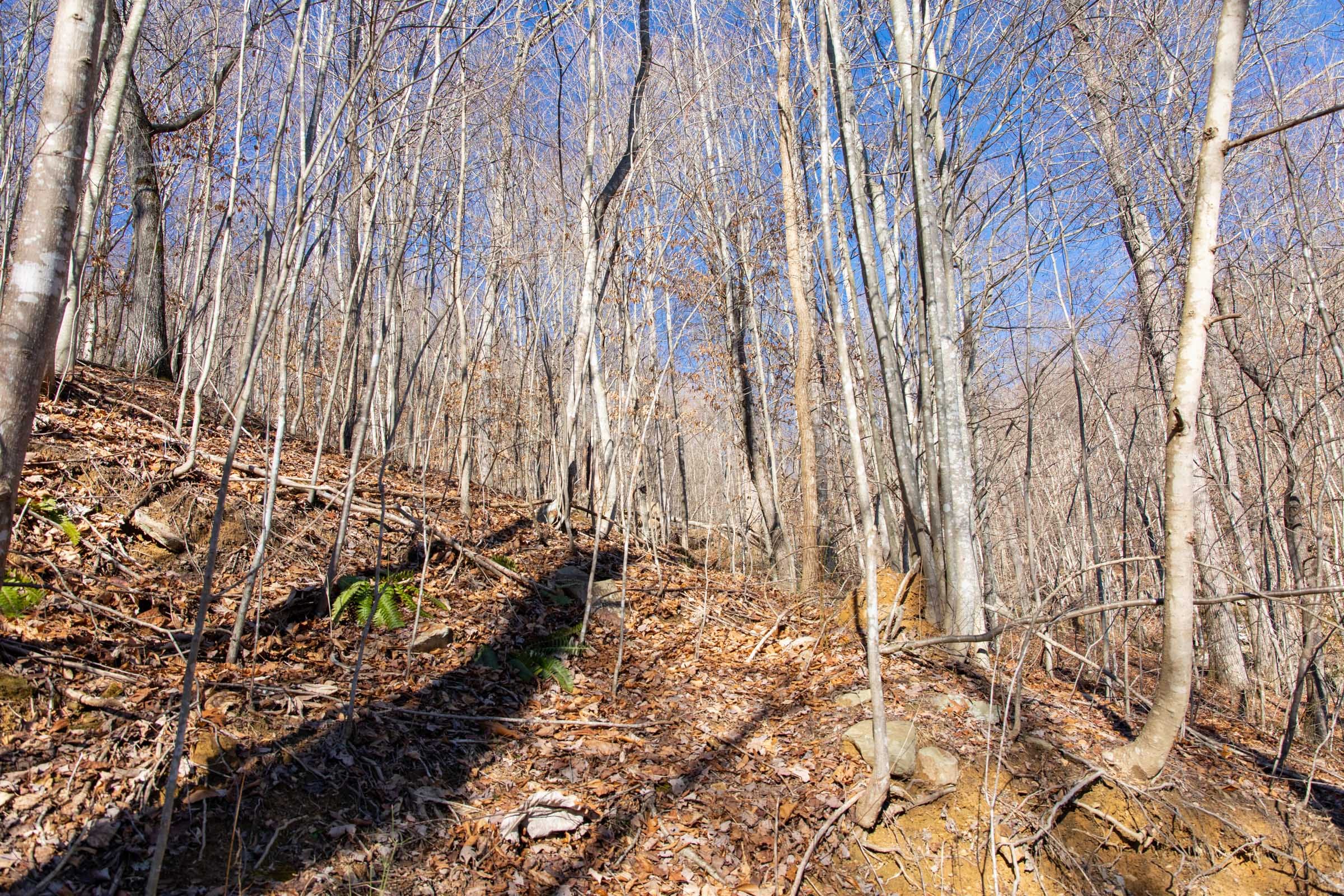 Blackstone Mountain Phase I Tract 49 photo 15