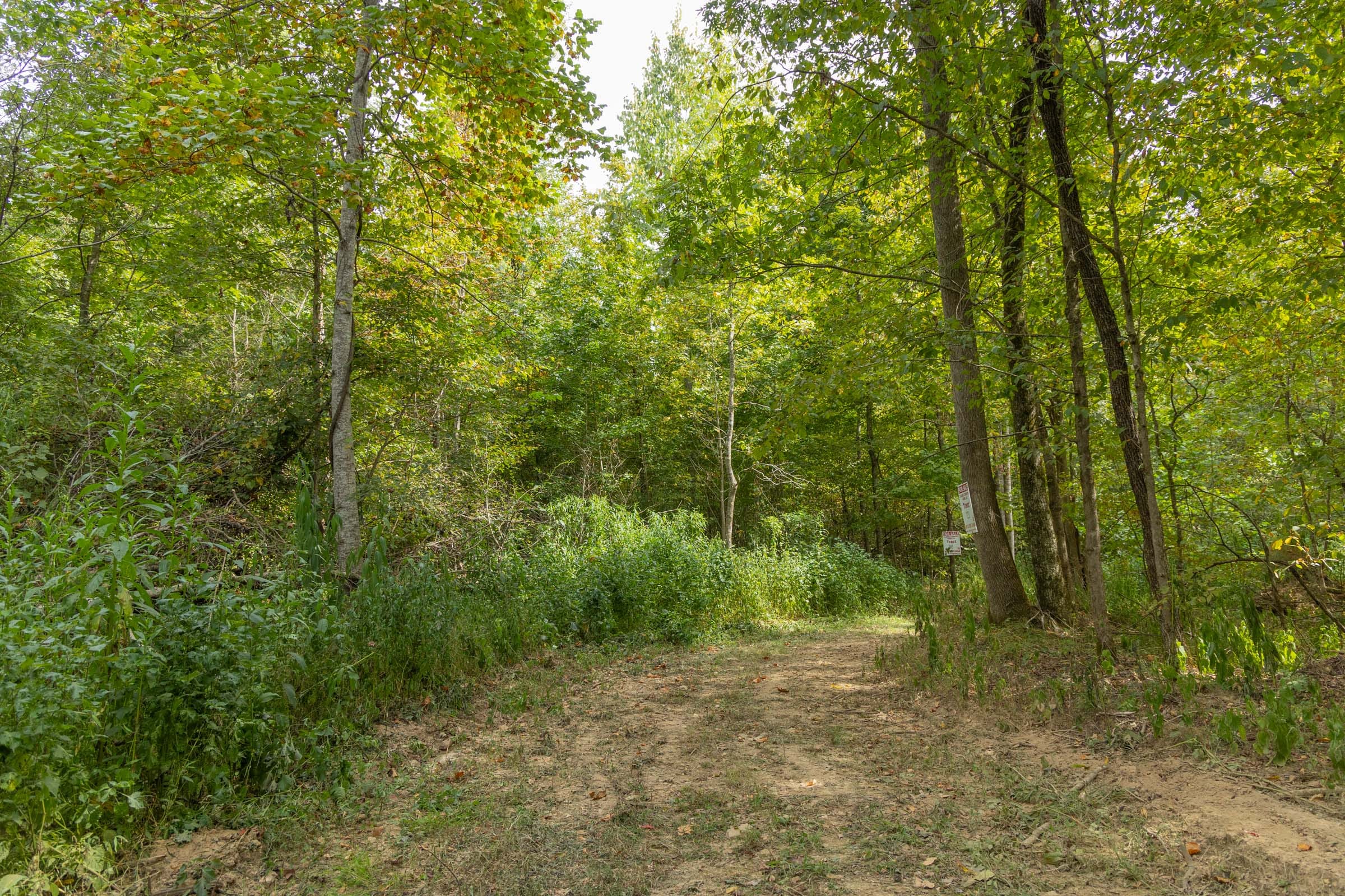 Big White Oak Tract 115 photo 2