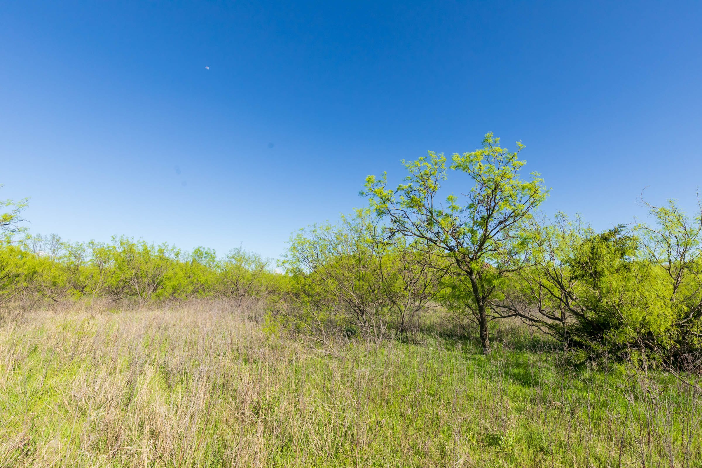 Hackberry Fields Tract 21 photo 4