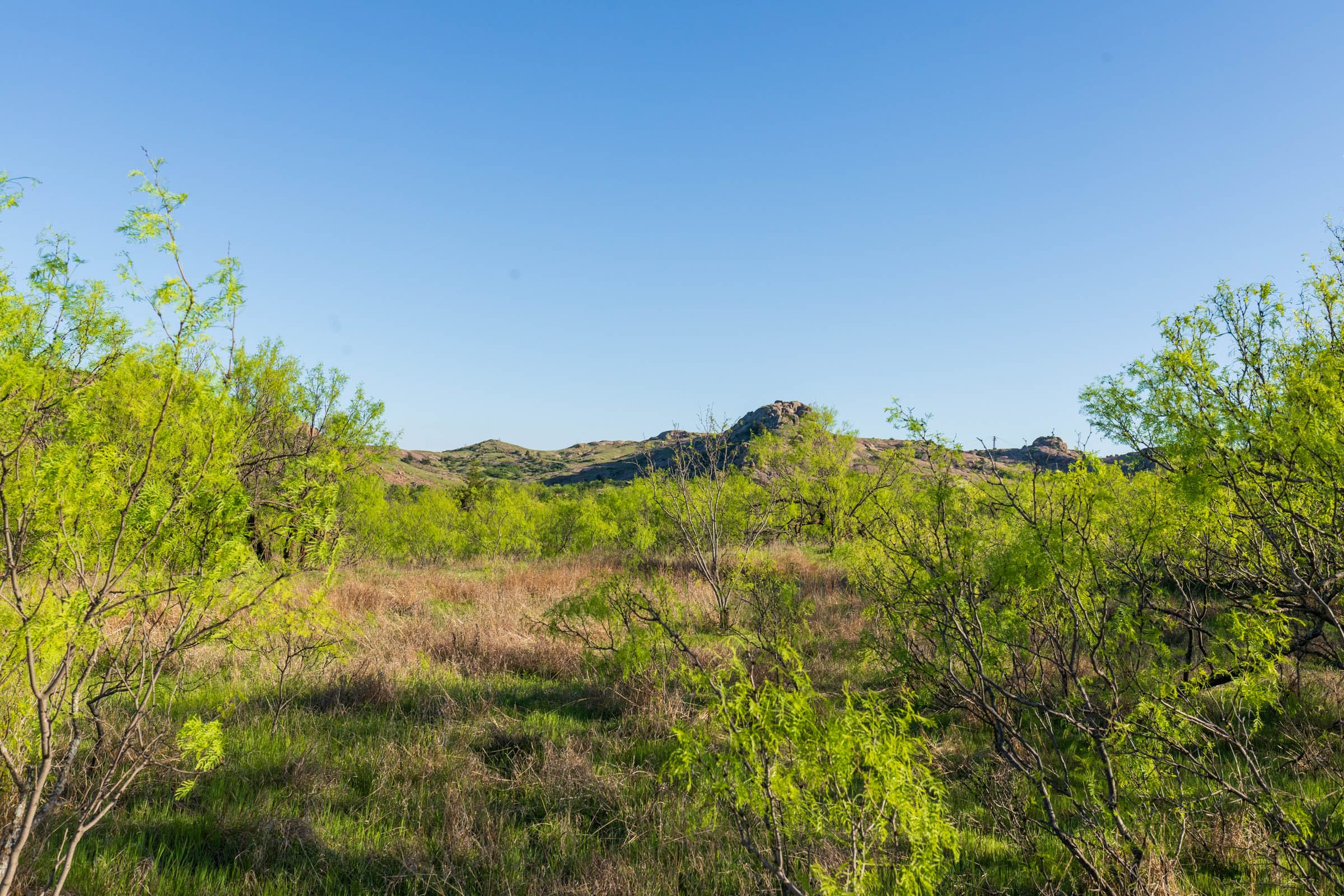 Hackberry Fields Tract 21 photo 7